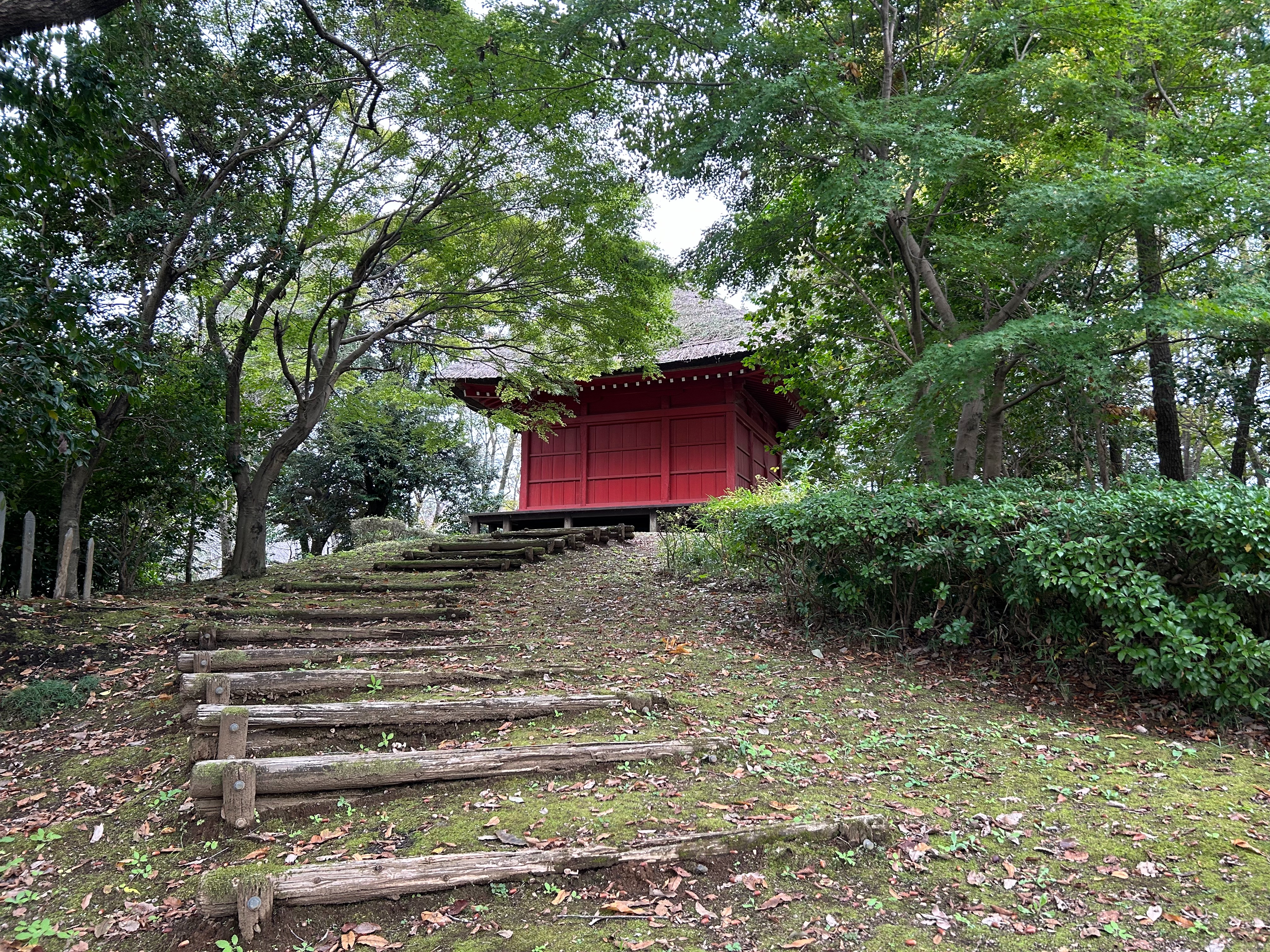 f:id:yoyorinrinyuyu:20231115130759j:image