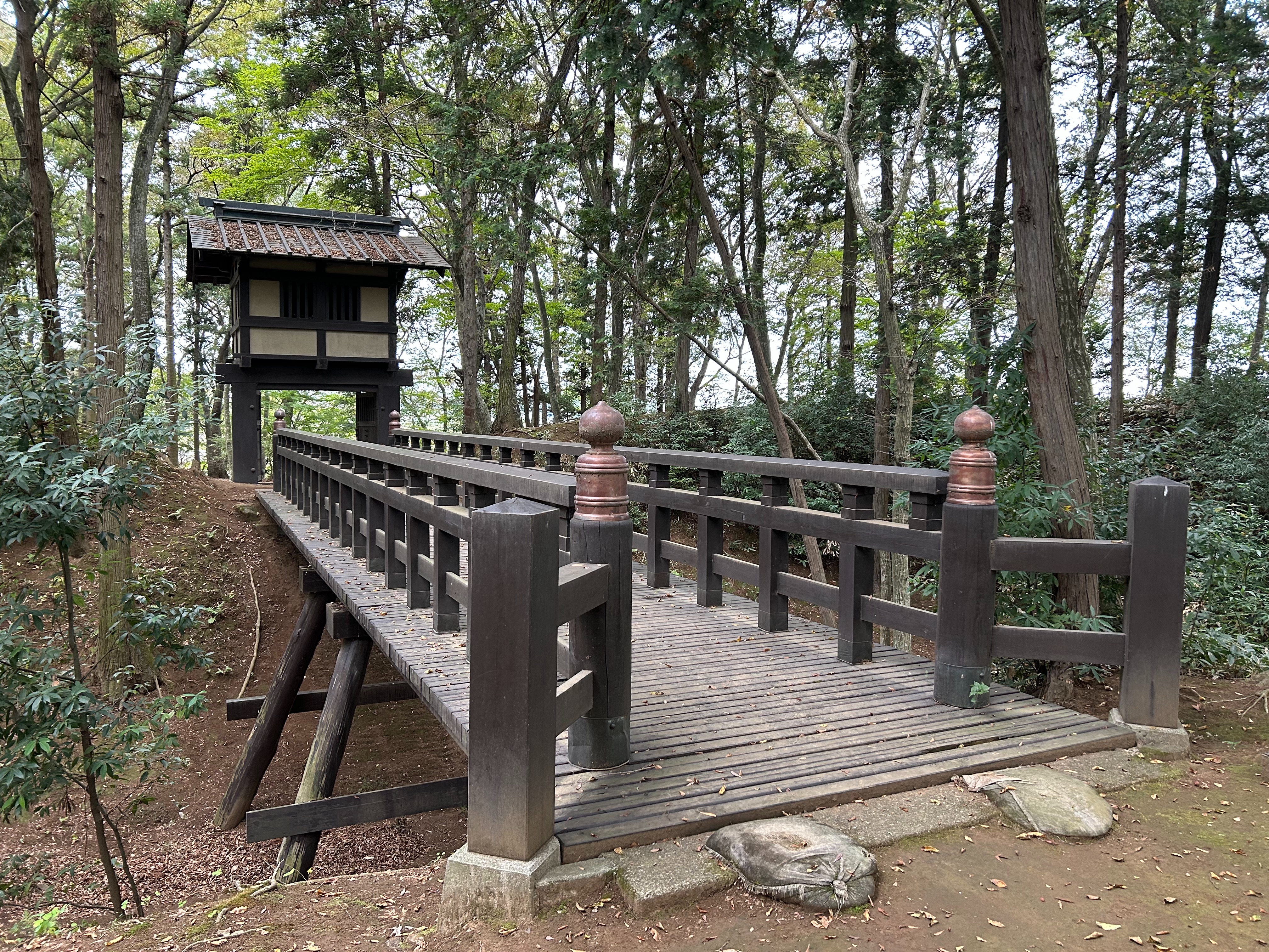 f:id:yoyorinrinyuyu:20231115130813j:image