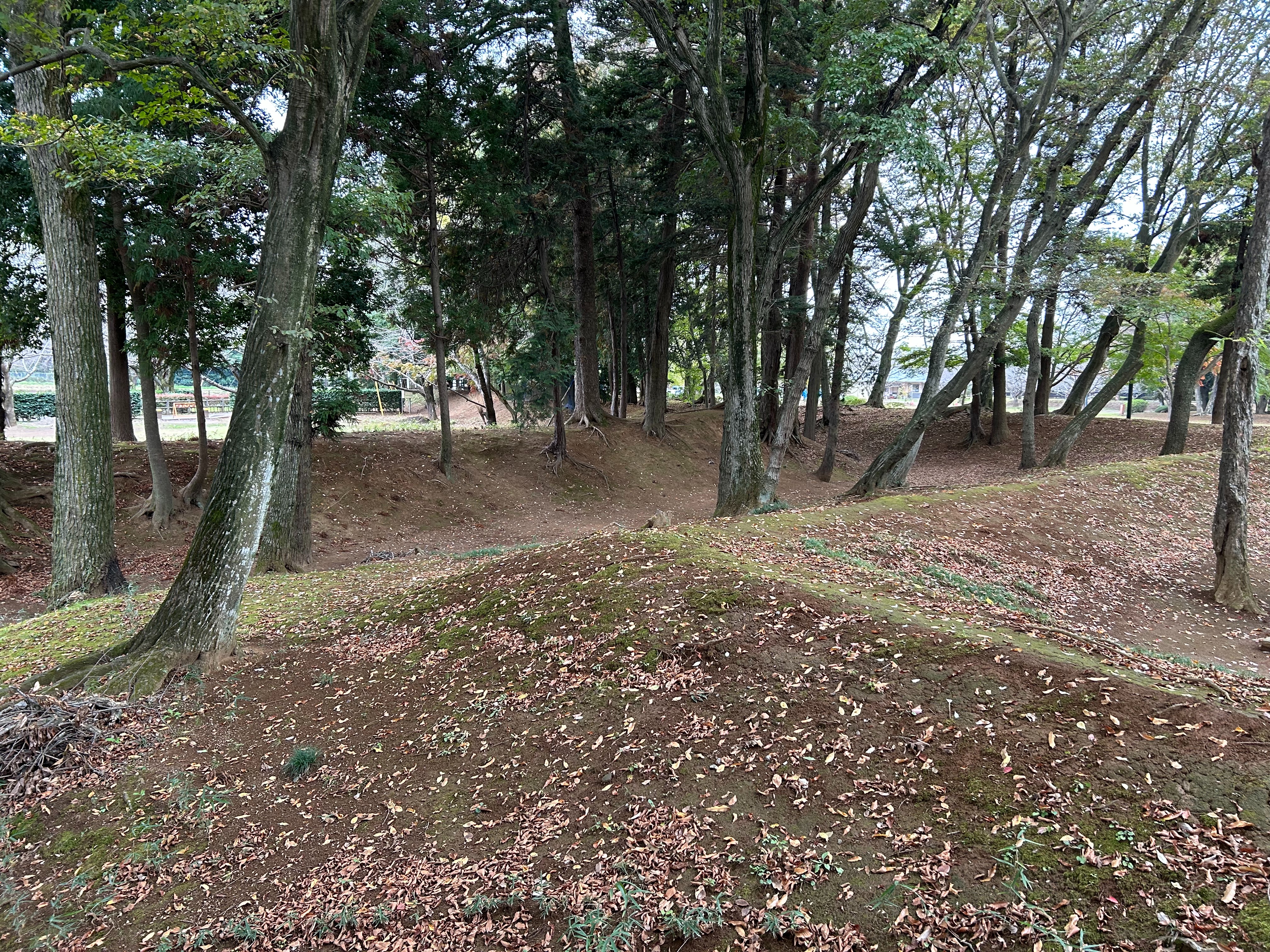 f:id:yoyorinrinyuyu:20231115130822j:image