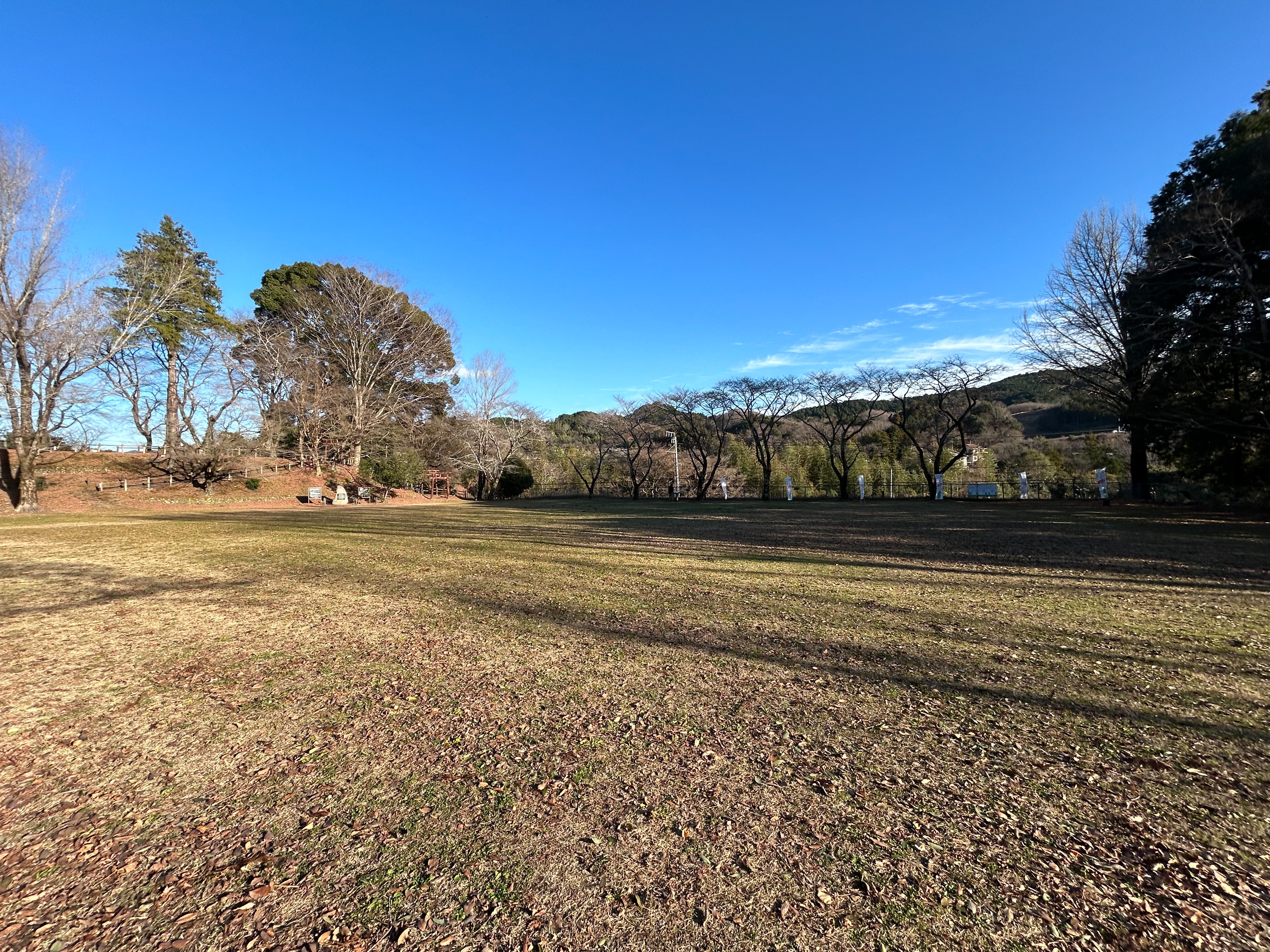 f:id:yoyorinrinyuyu:20231225125921j:image