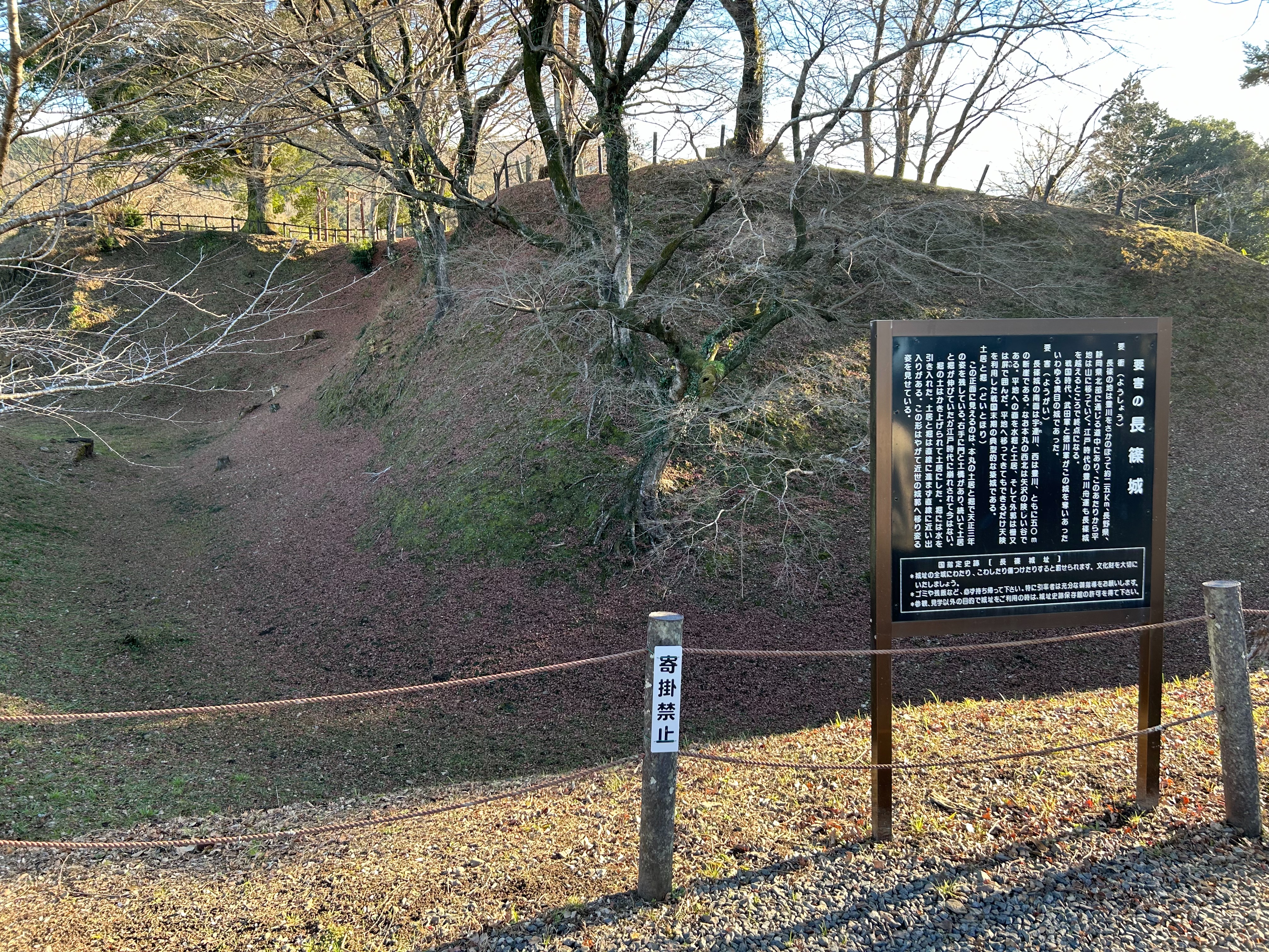 f:id:yoyorinrinyuyu:20231225130017j:image