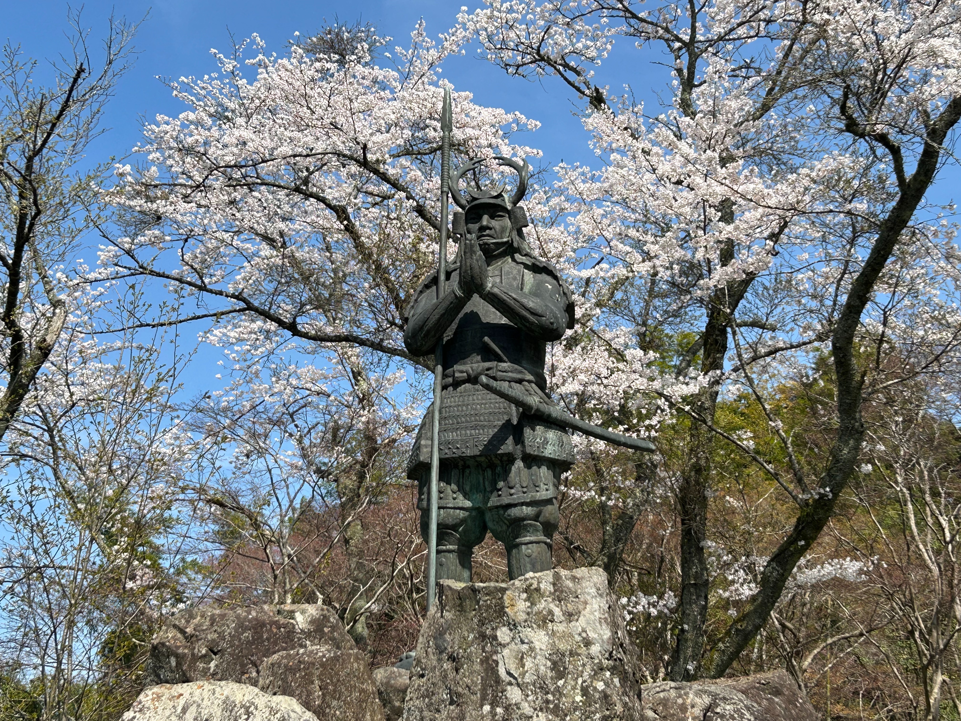 f:id:yoyorinrinyuyu:20240409074955j:image