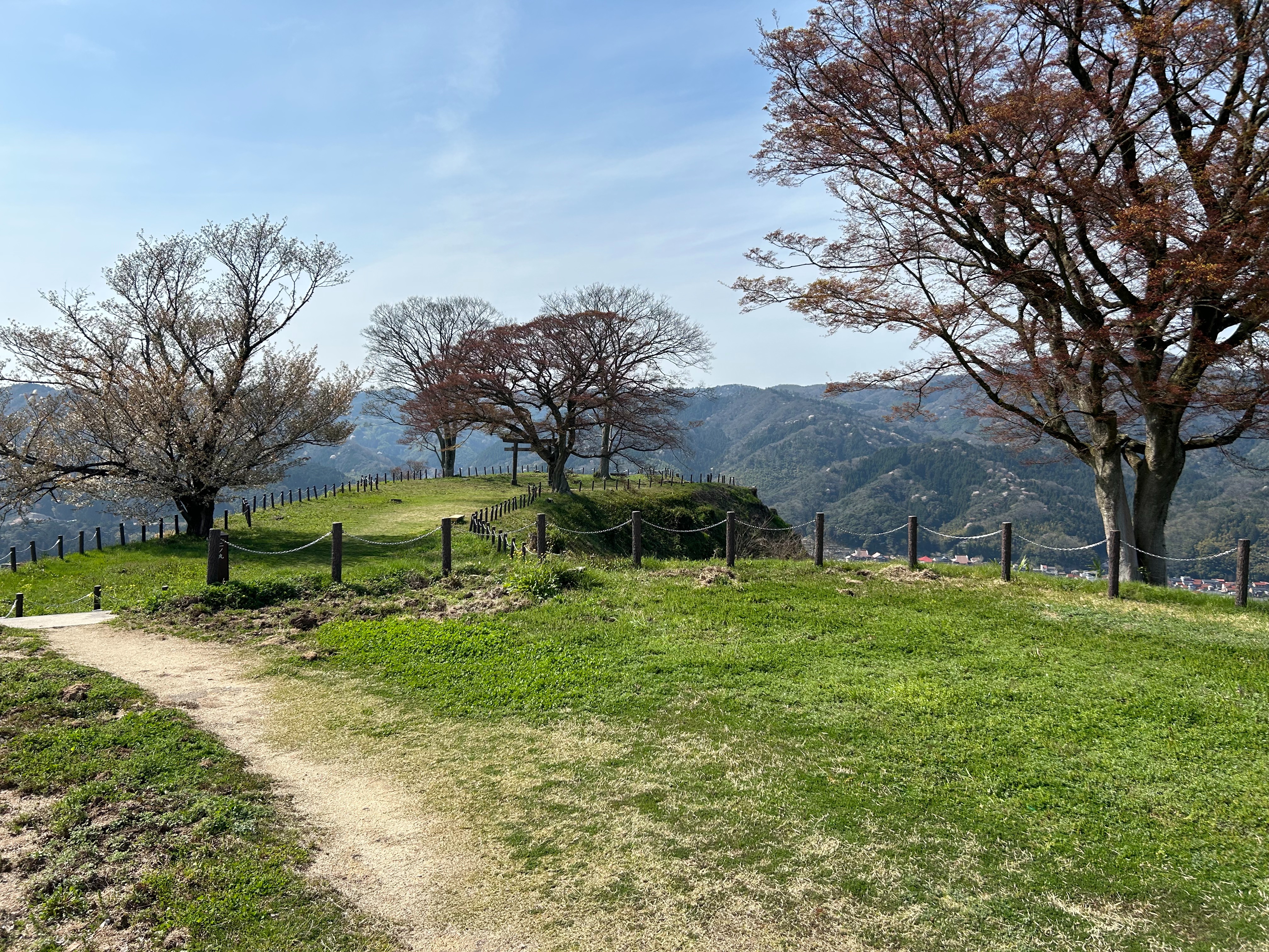 f:id:yoyorinrinyuyu:20240409075255j:image