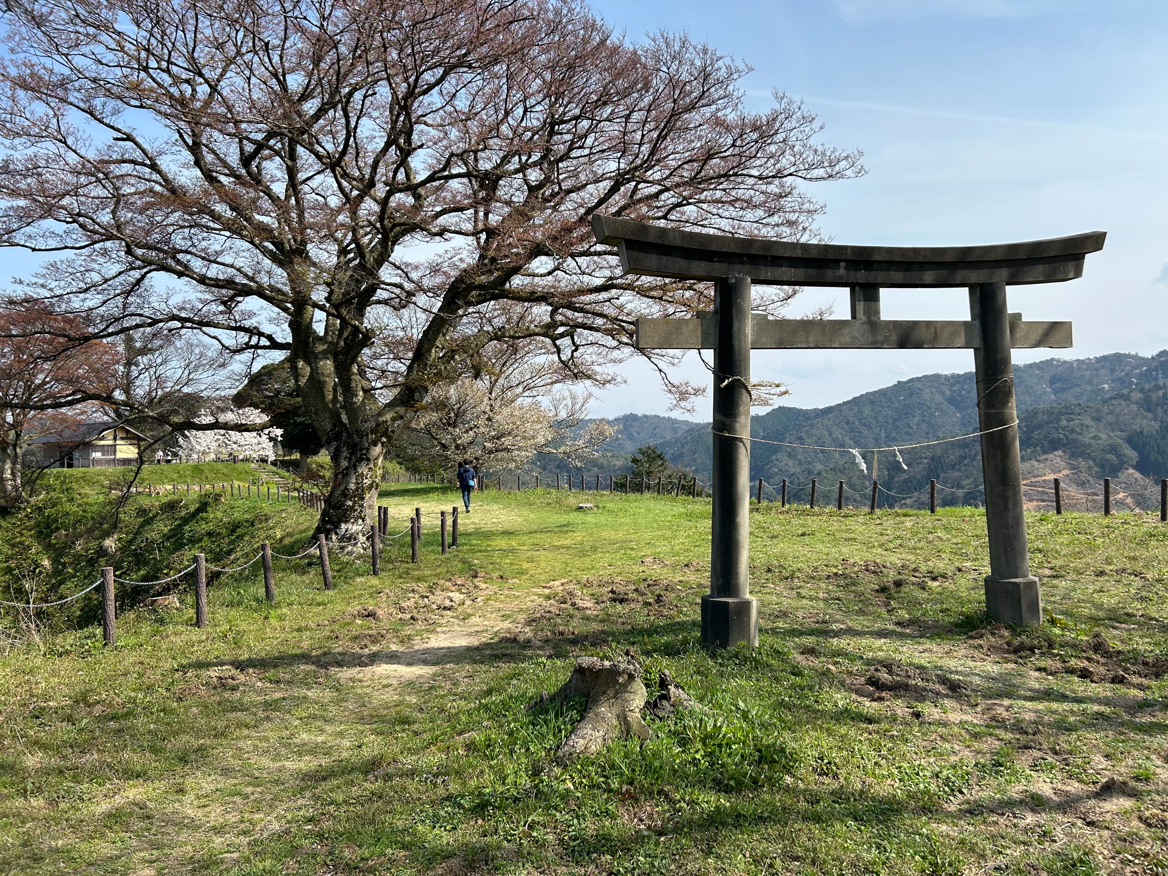 f:id:yoyorinrinyuyu:20240409075352j:image