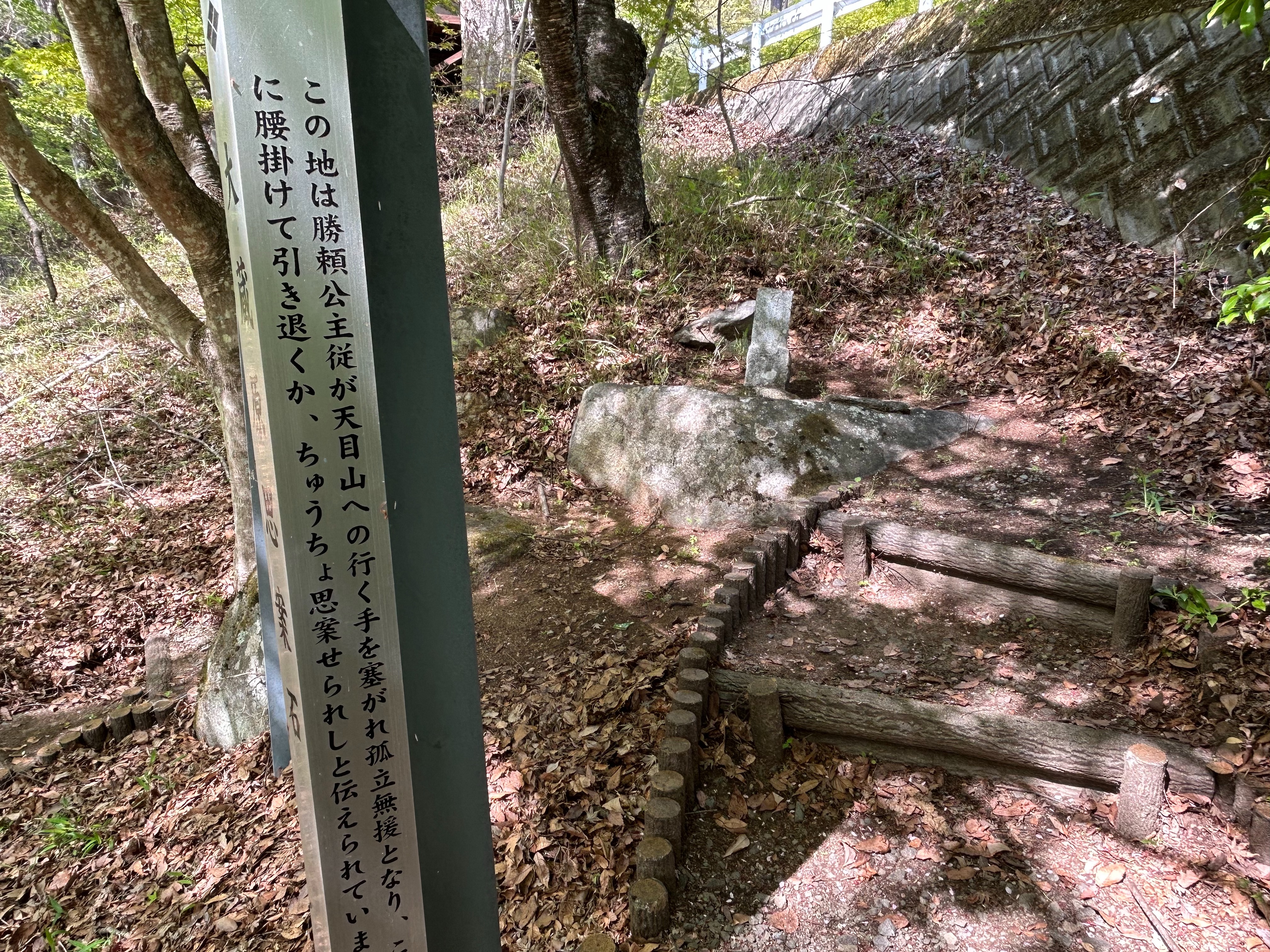 f:id:yoyorinrinyuyu:20240502094115j:image