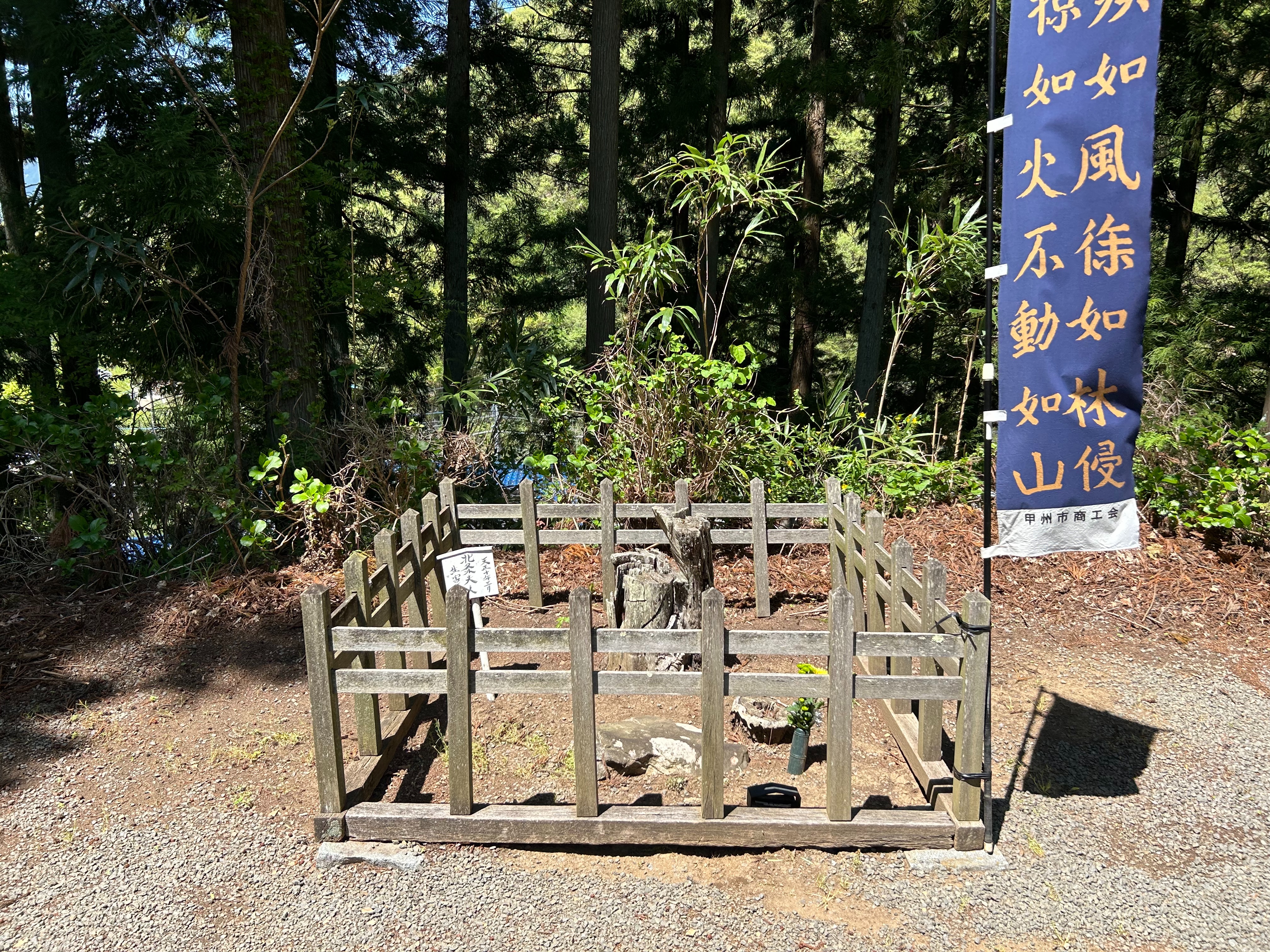 f:id:yoyorinrinyuyu:20240502094235j:image