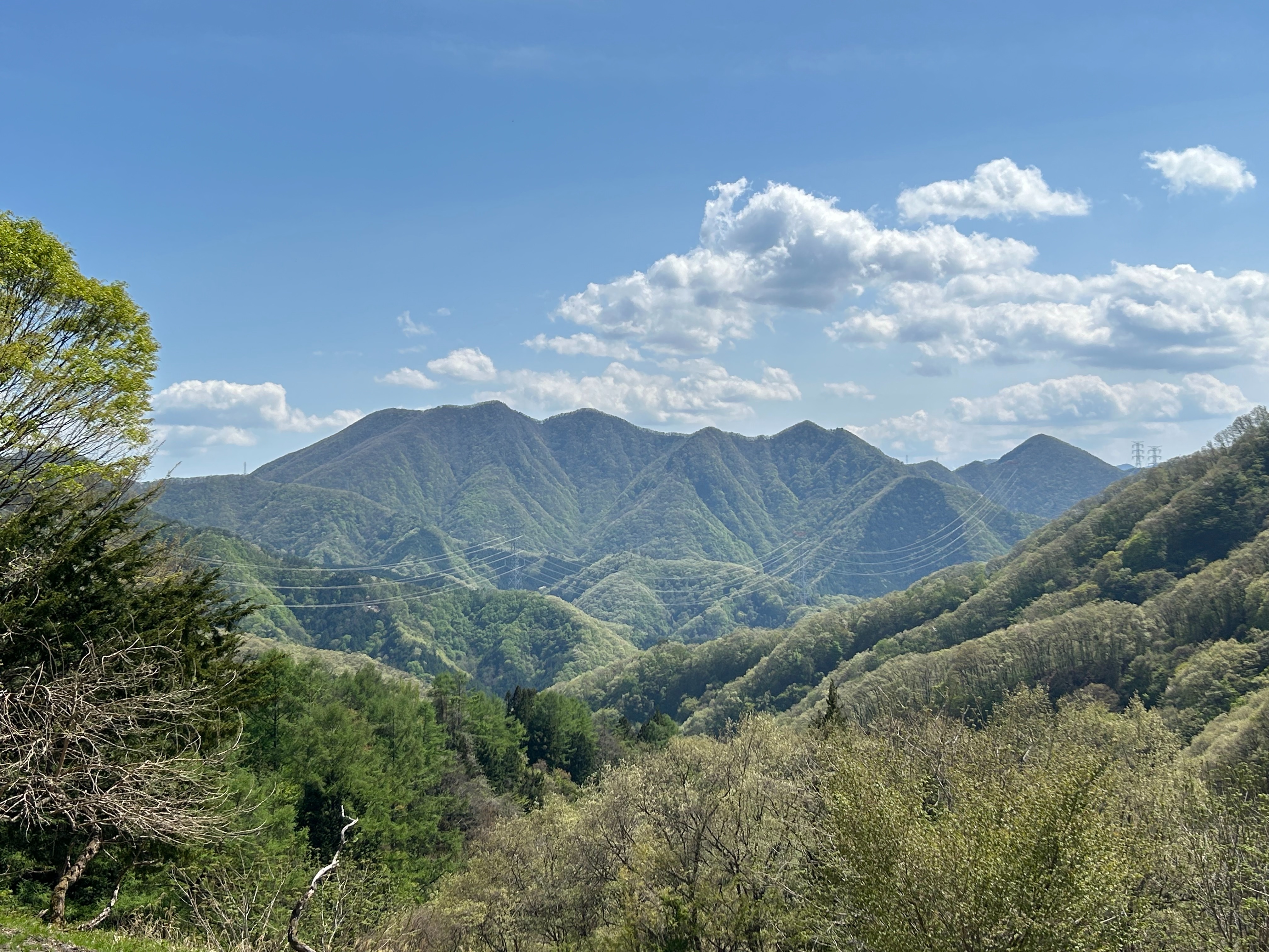 f:id:yoyorinrinyuyu:20240502094552j:image