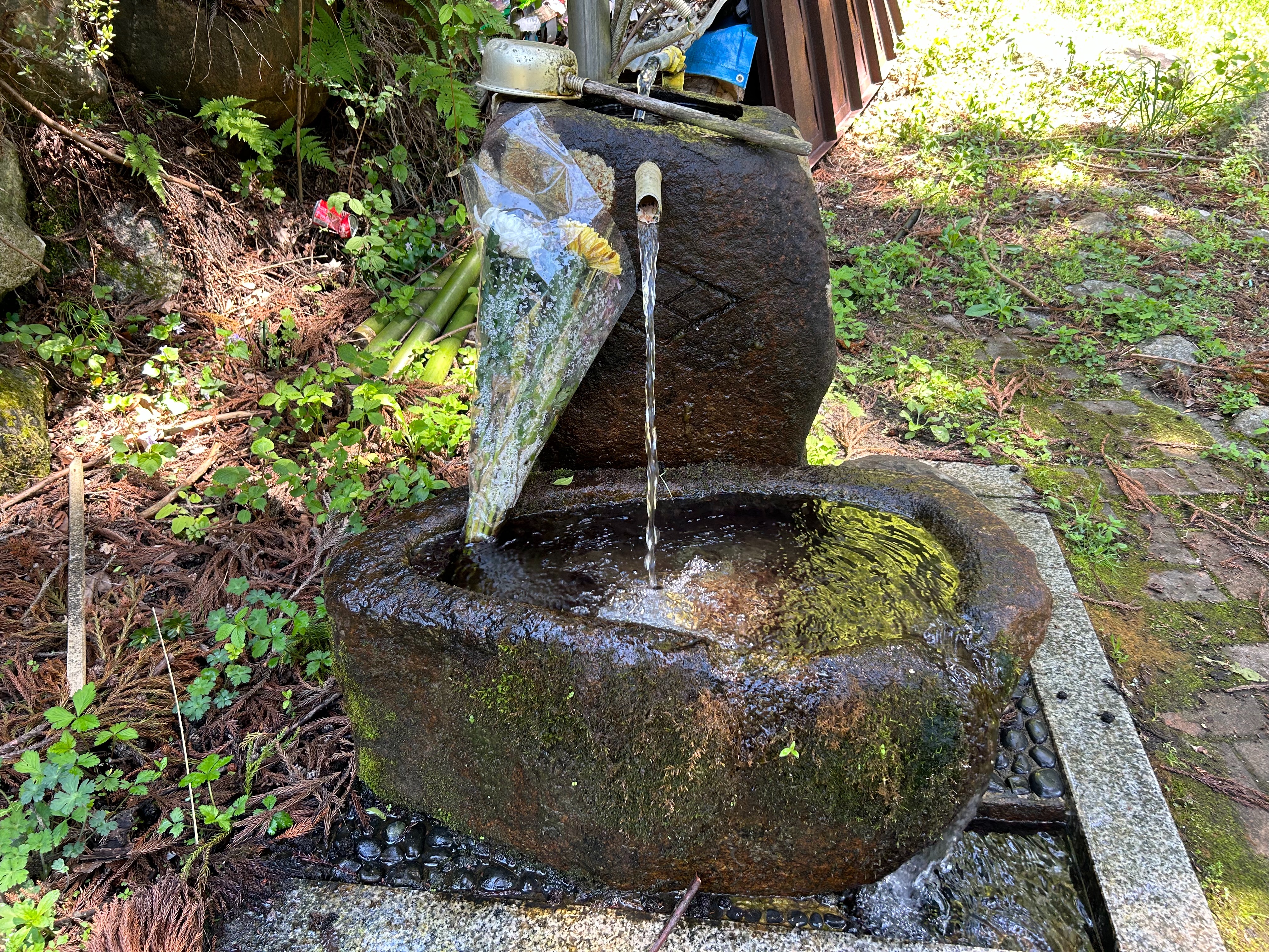 f:id:yoyorinrinyuyu:20240502094626j:image