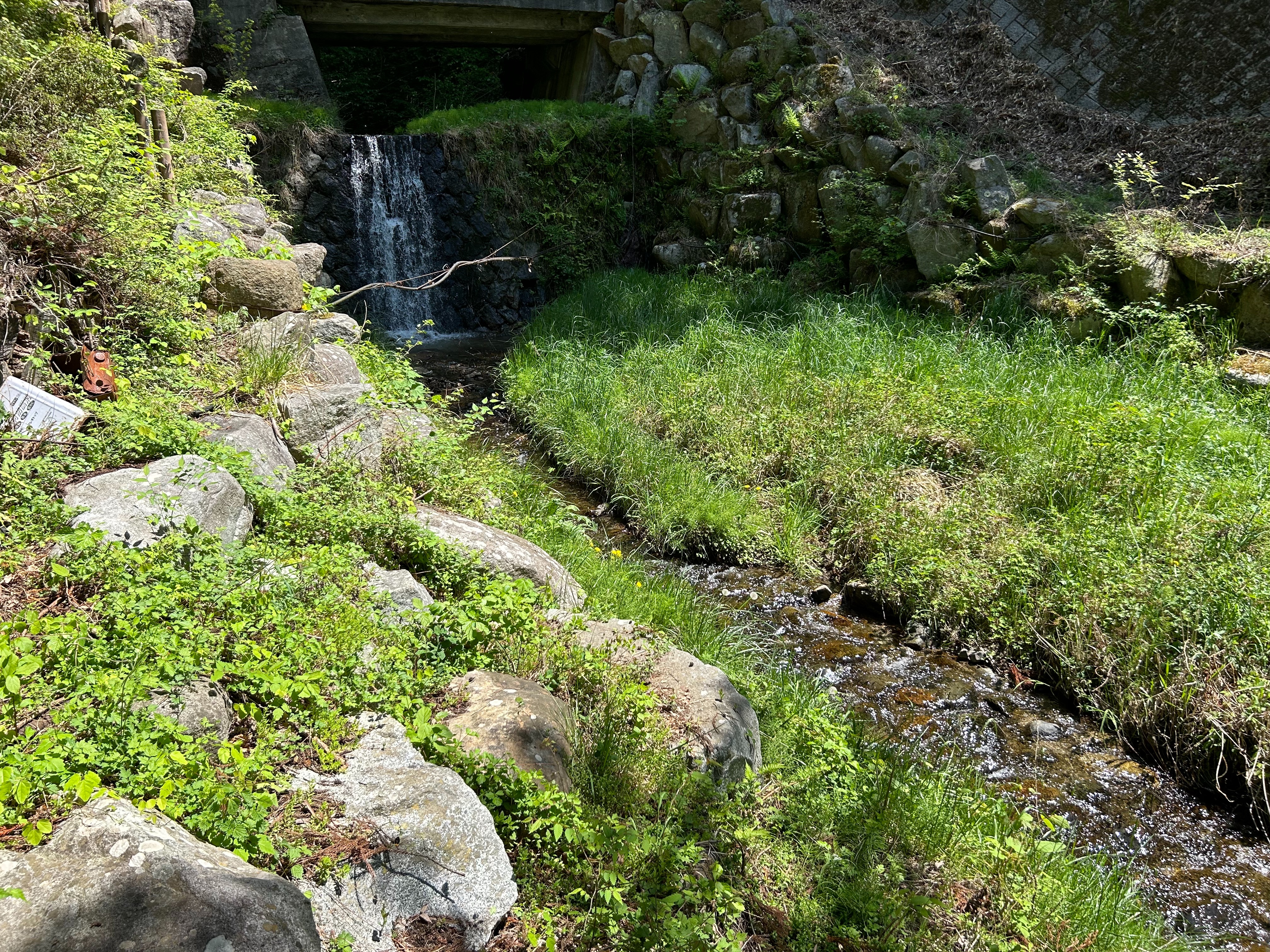 f:id:yoyorinrinyuyu:20240502094818j:image