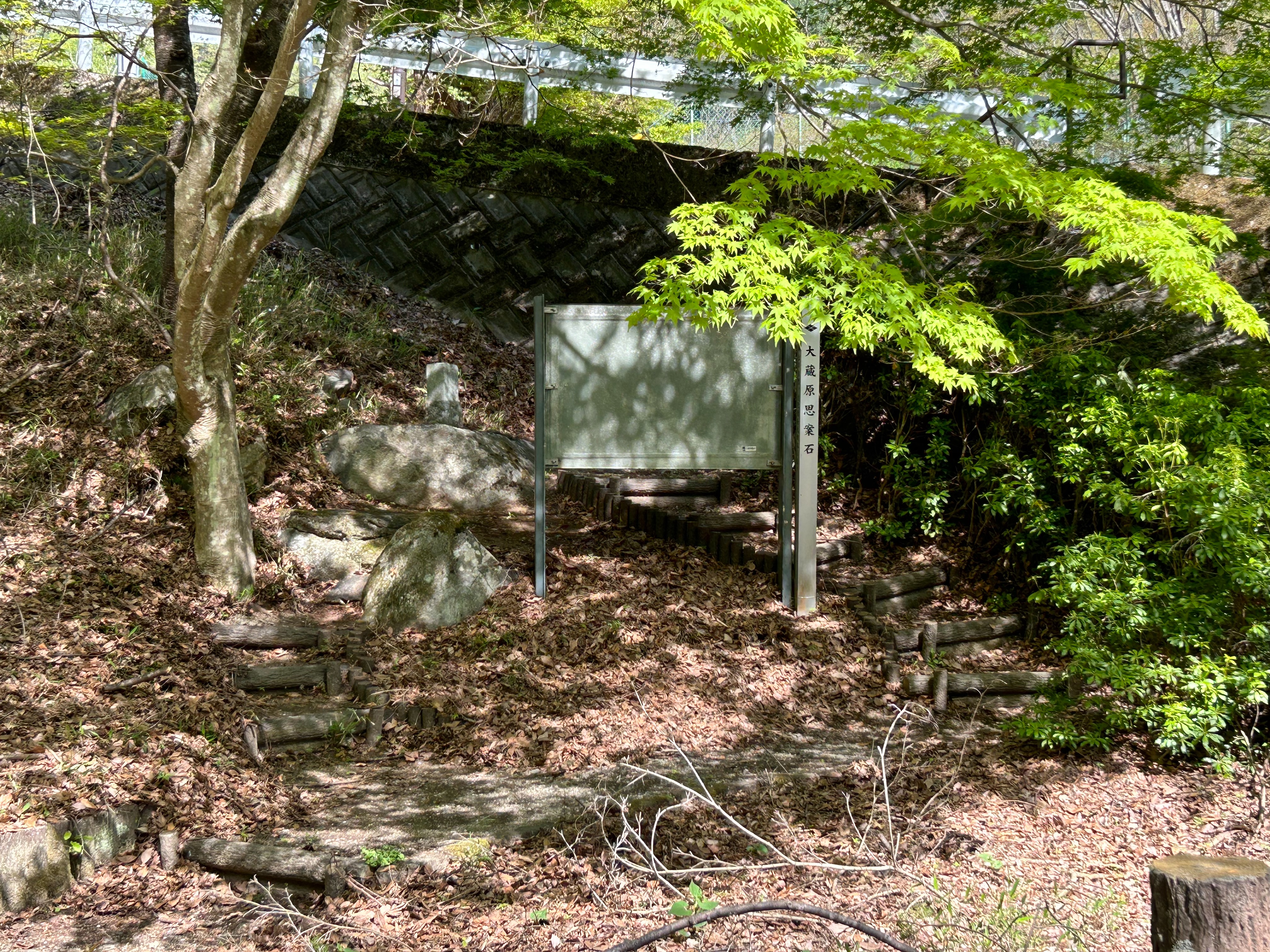 f:id:yoyorinrinyuyu:20240502094931j:image