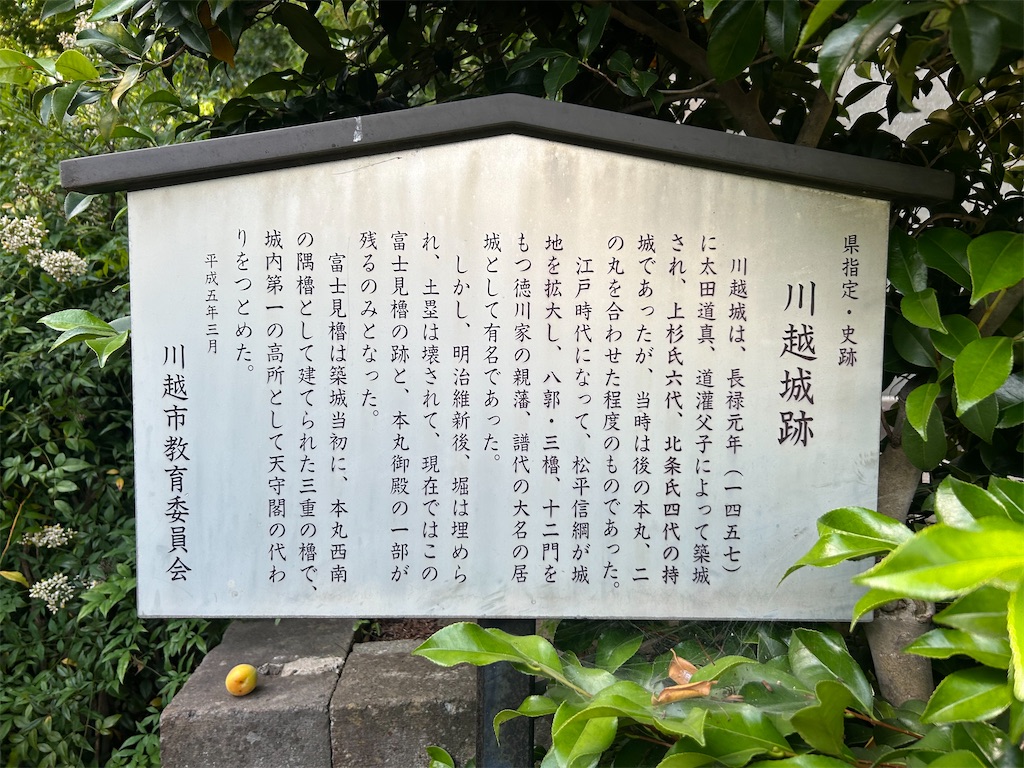 f:id:yoyorinrinyuyu:20240609181714j:image