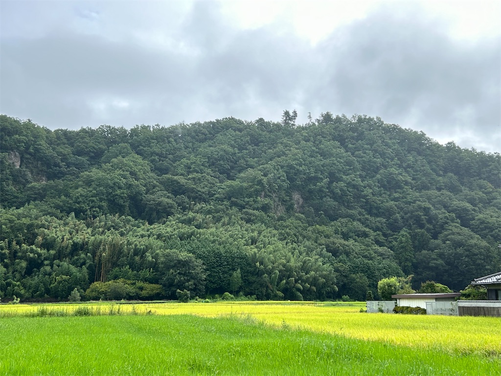 f:id:yoyorinrinyuyu:20240903092926j:image