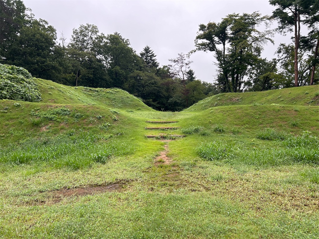 f:id:yoyorinrinyuyu:20240903092956j:image