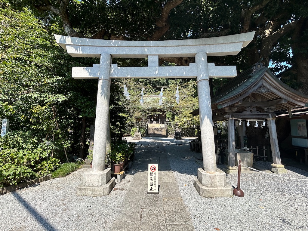 f:id:yoyorinrinyuyu:20240908163311j:image