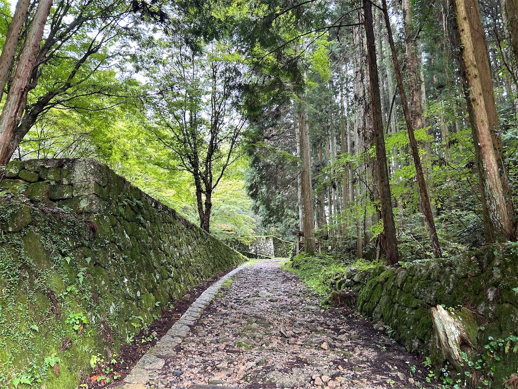 f:id:yoyorinrinyuyu:20240916160257j:image