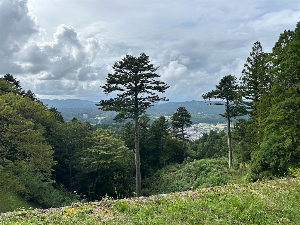 f:id:yoyorinrinyuyu:20240916160316j:image