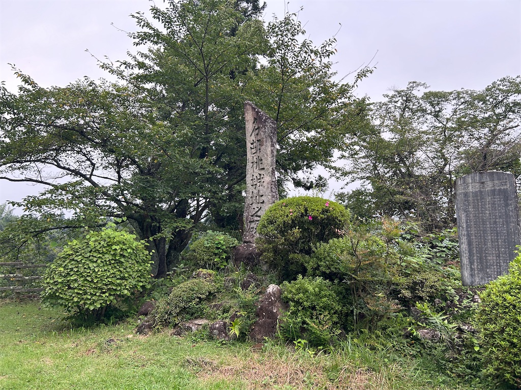 f:id:yoyorinrinyuyu:20240922073323j:image