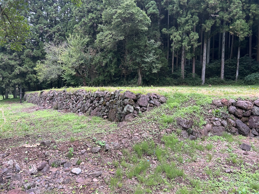 f:id:yoyorinrinyuyu:20240922105907j:image f:id:yoyorinrinyuyu:20240922105907j:image