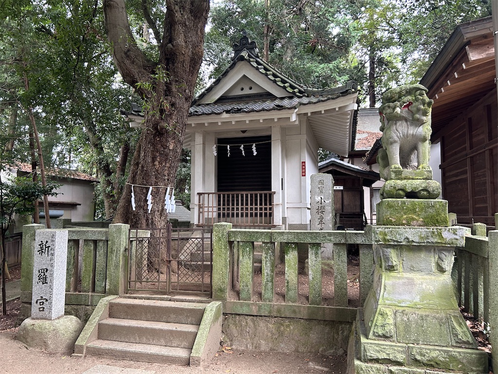 f:id:yoyorinrinyuyu:20241021083717j:image f:id:yoyorinrinyuyu:20241021083717j:image