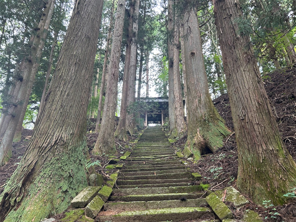 f:id:yoyorinrinyuyu:20241021083914j:image