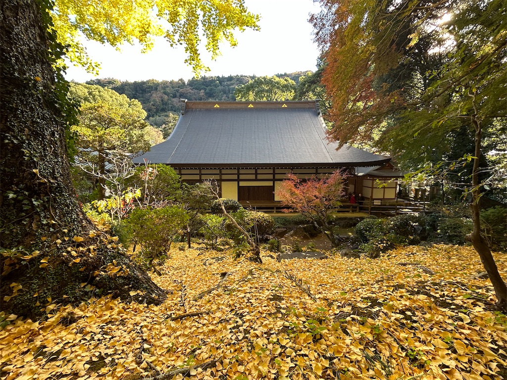 f:id:yoyorinrinyuyu:20241209013812j:image
