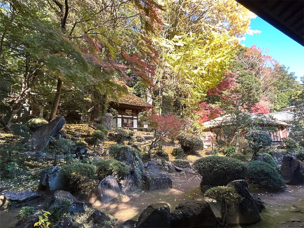 f:id:yoyorinrinyuyu:20241209013900j:image