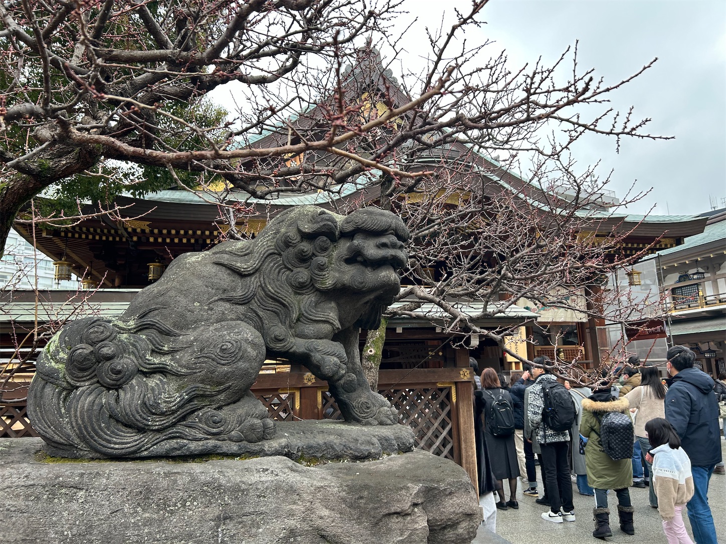 f:id:yoyorinrinyuyu:20250125172407j:image