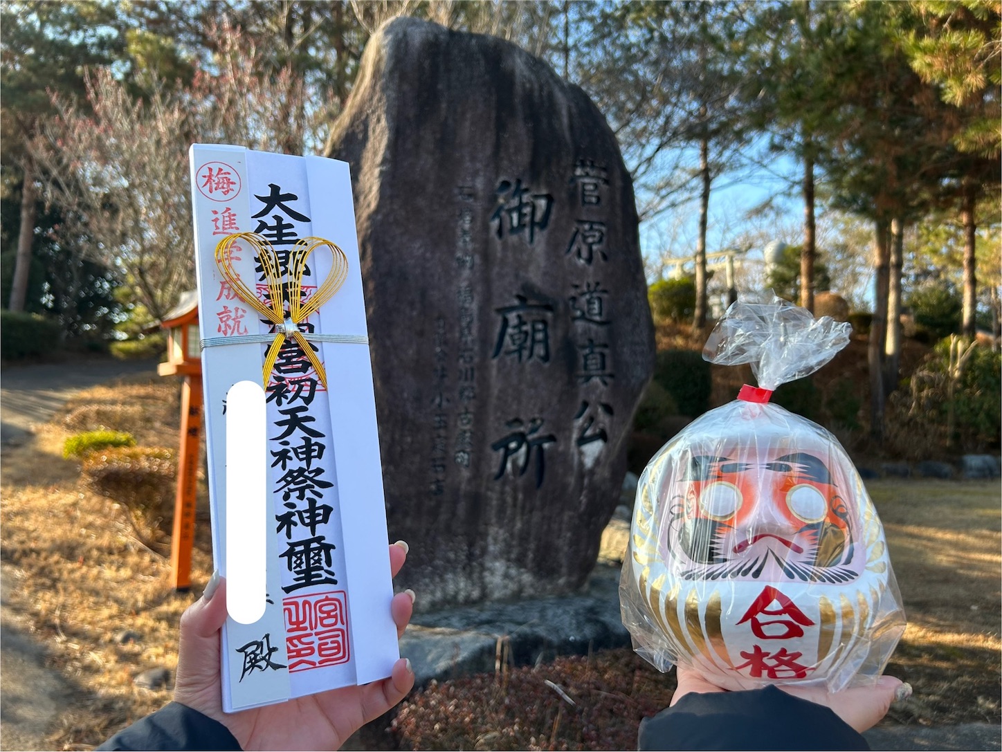 f:id:yoyorinrinyuyu:20250126021434j:image