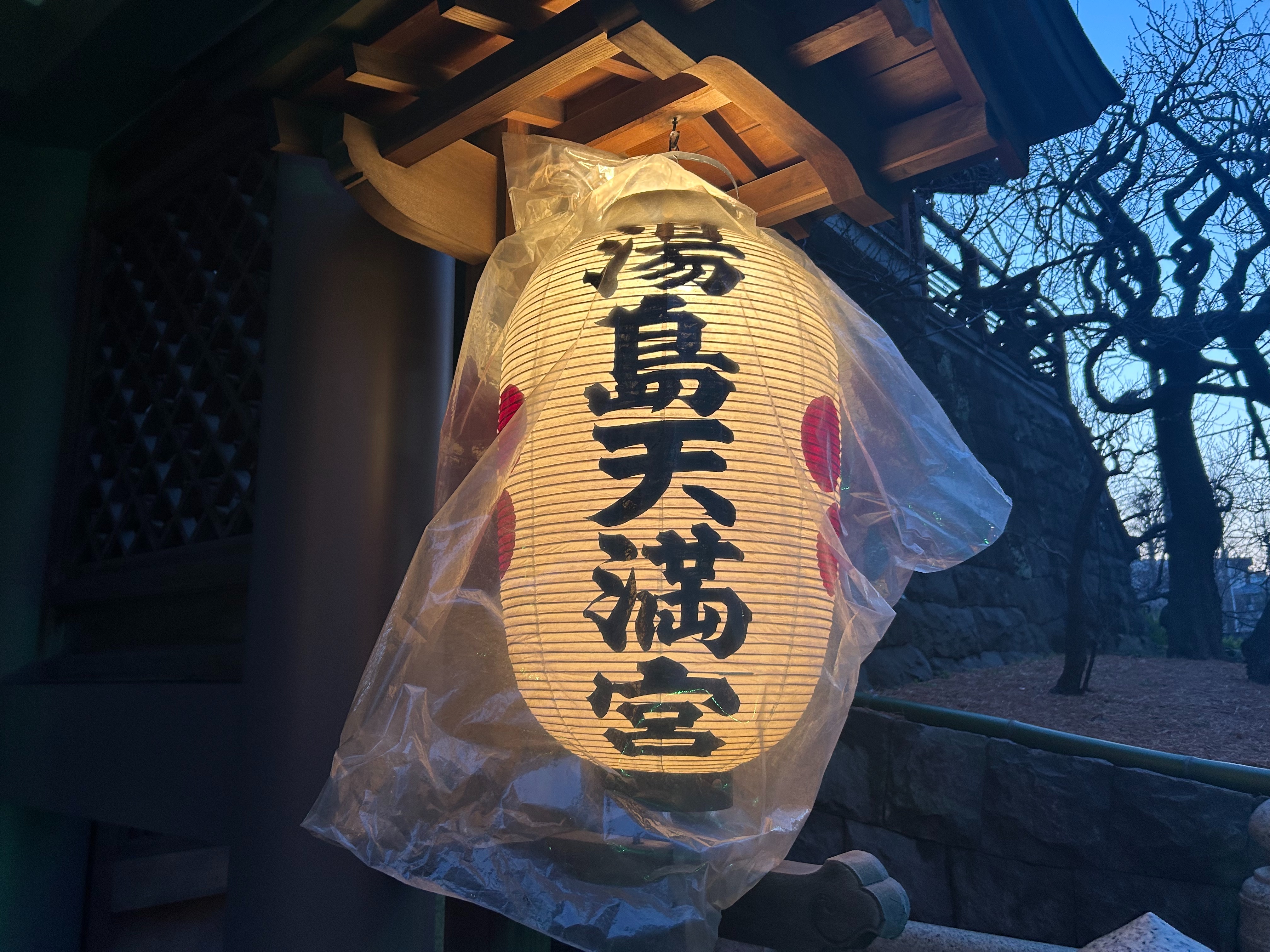 f:id:yoyorinrinyuyu:20250204205826j:image