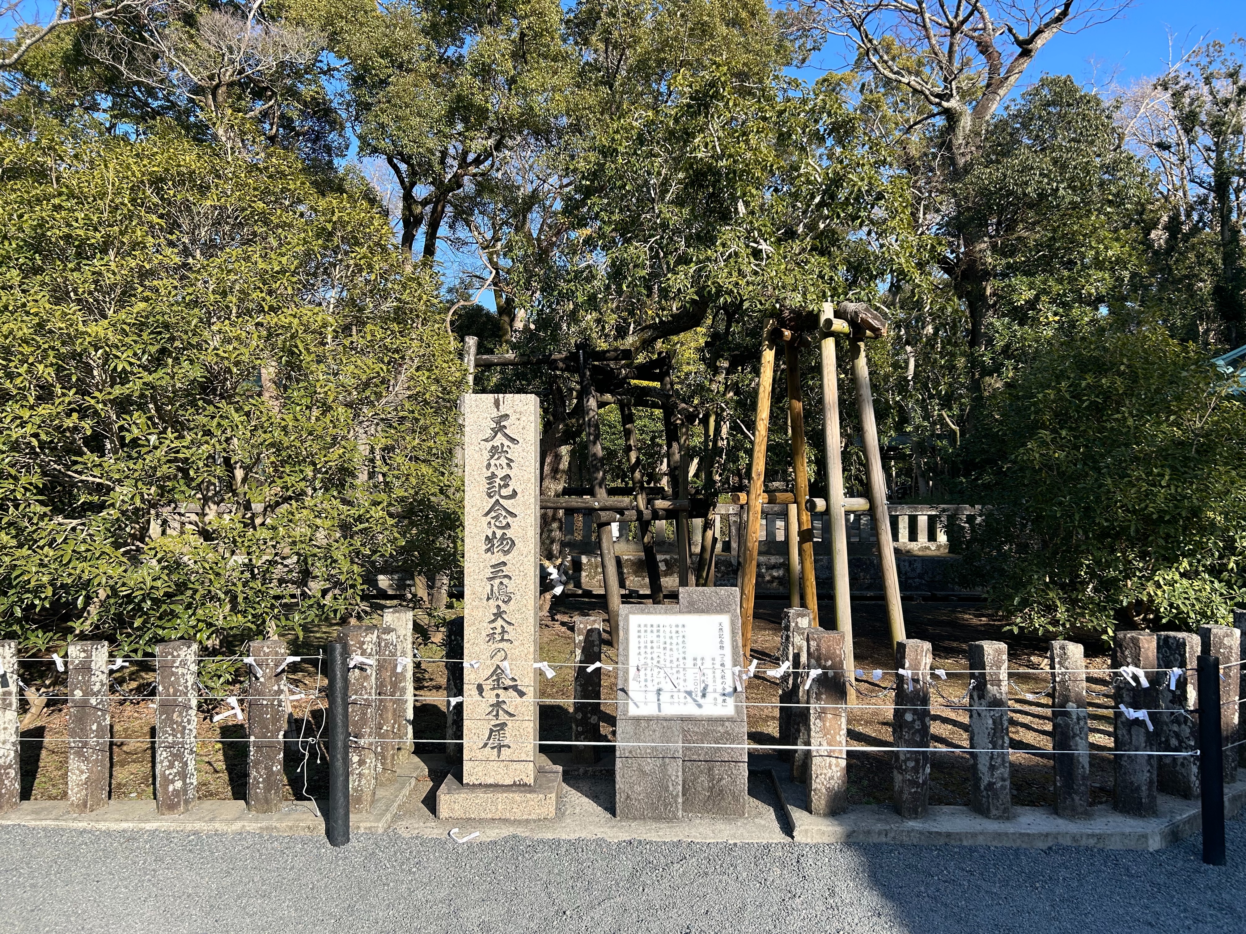 f:id:yoyorinrinyuyu:20250215084320j:image