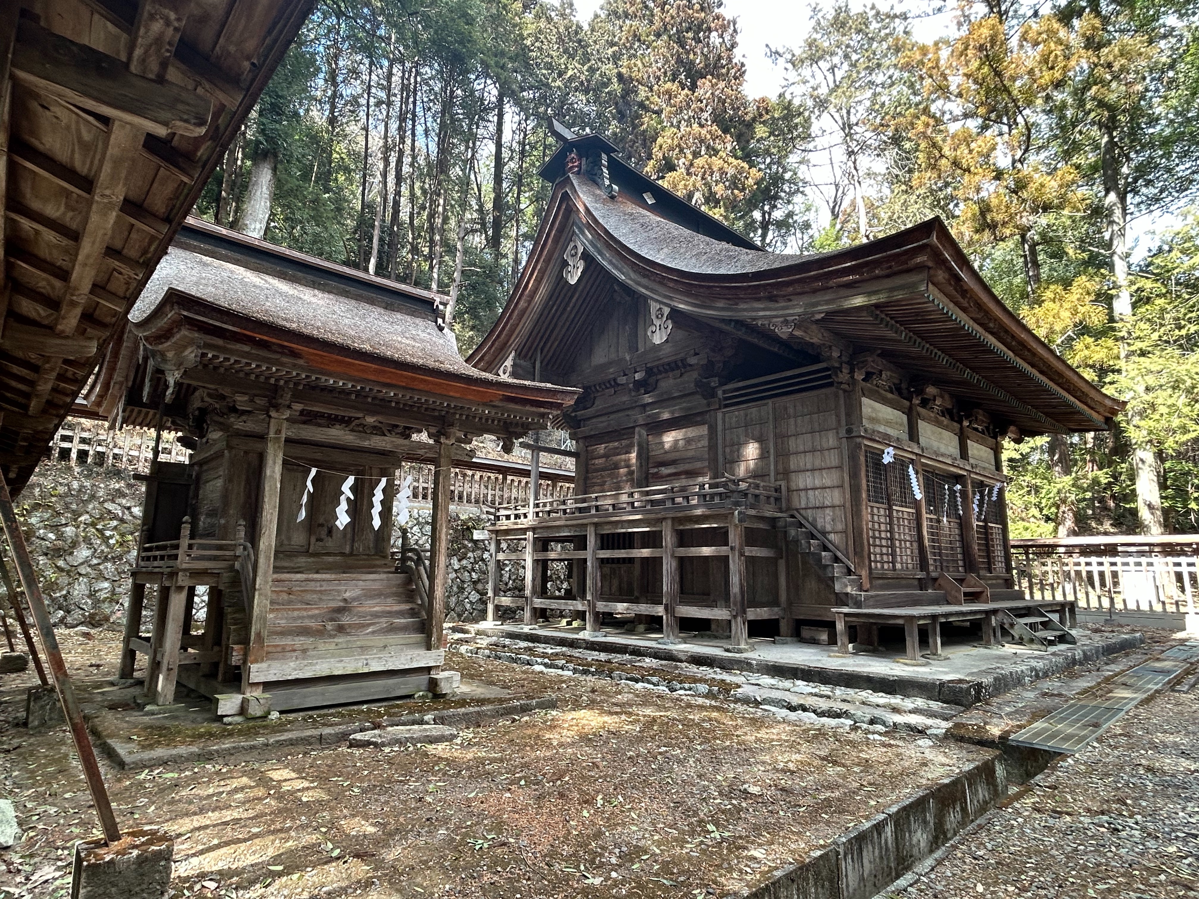 f:id:yoyorinrinyuyu:20250225213551j:image