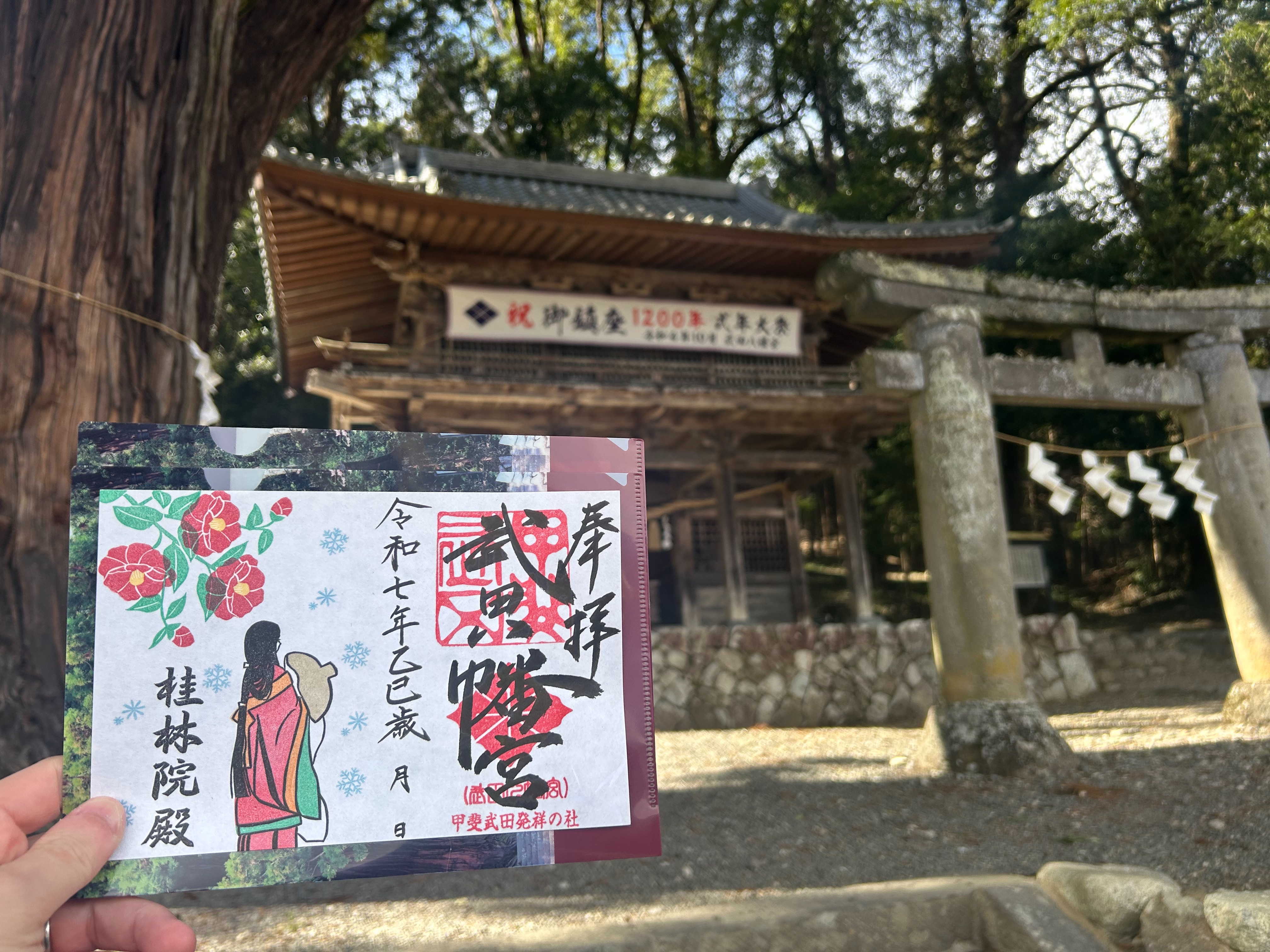 f:id:yoyorinrinyuyu:20250225213650j:image