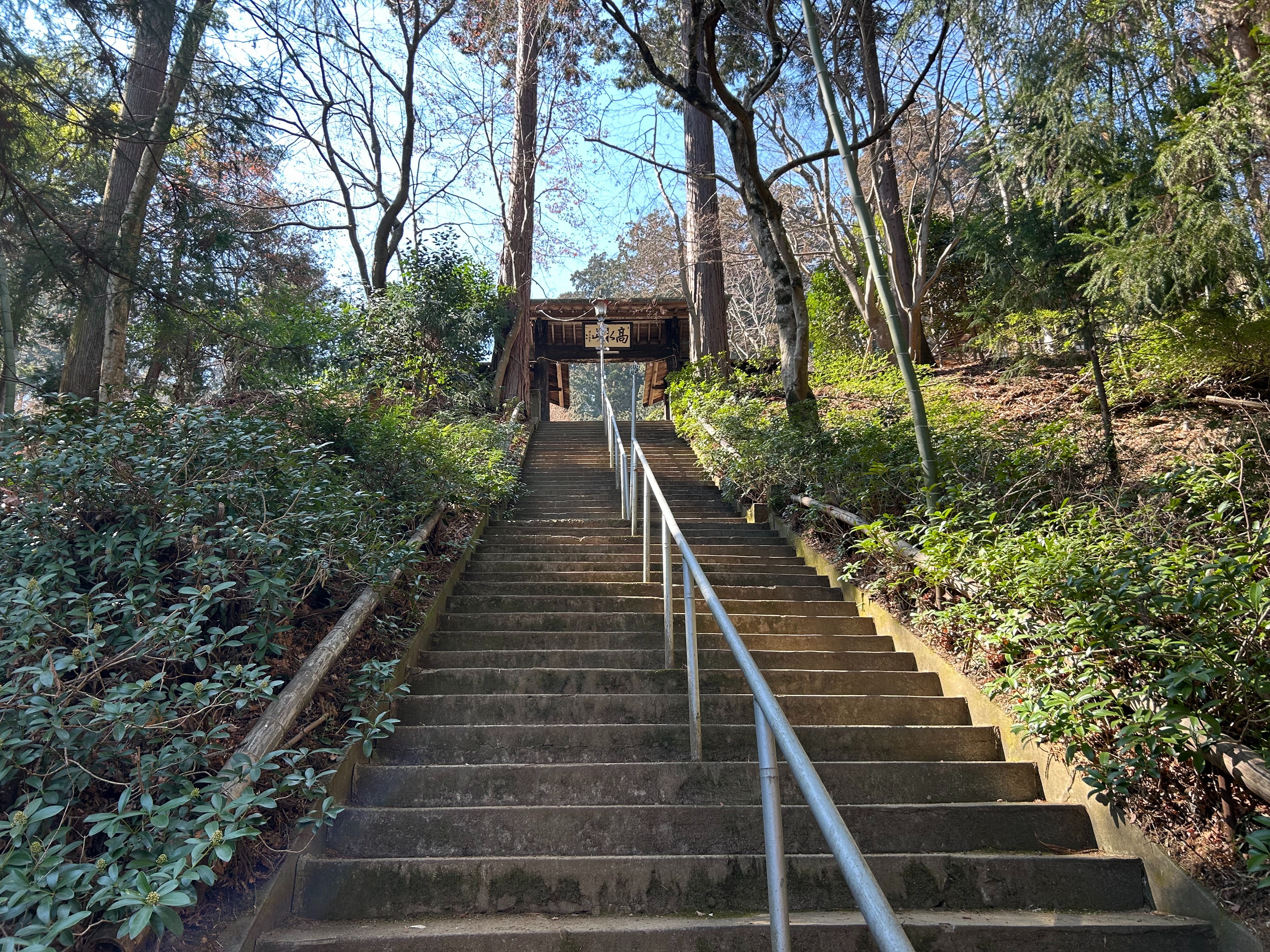 f:id:yoyorinrinyuyu:20250302112437j:image