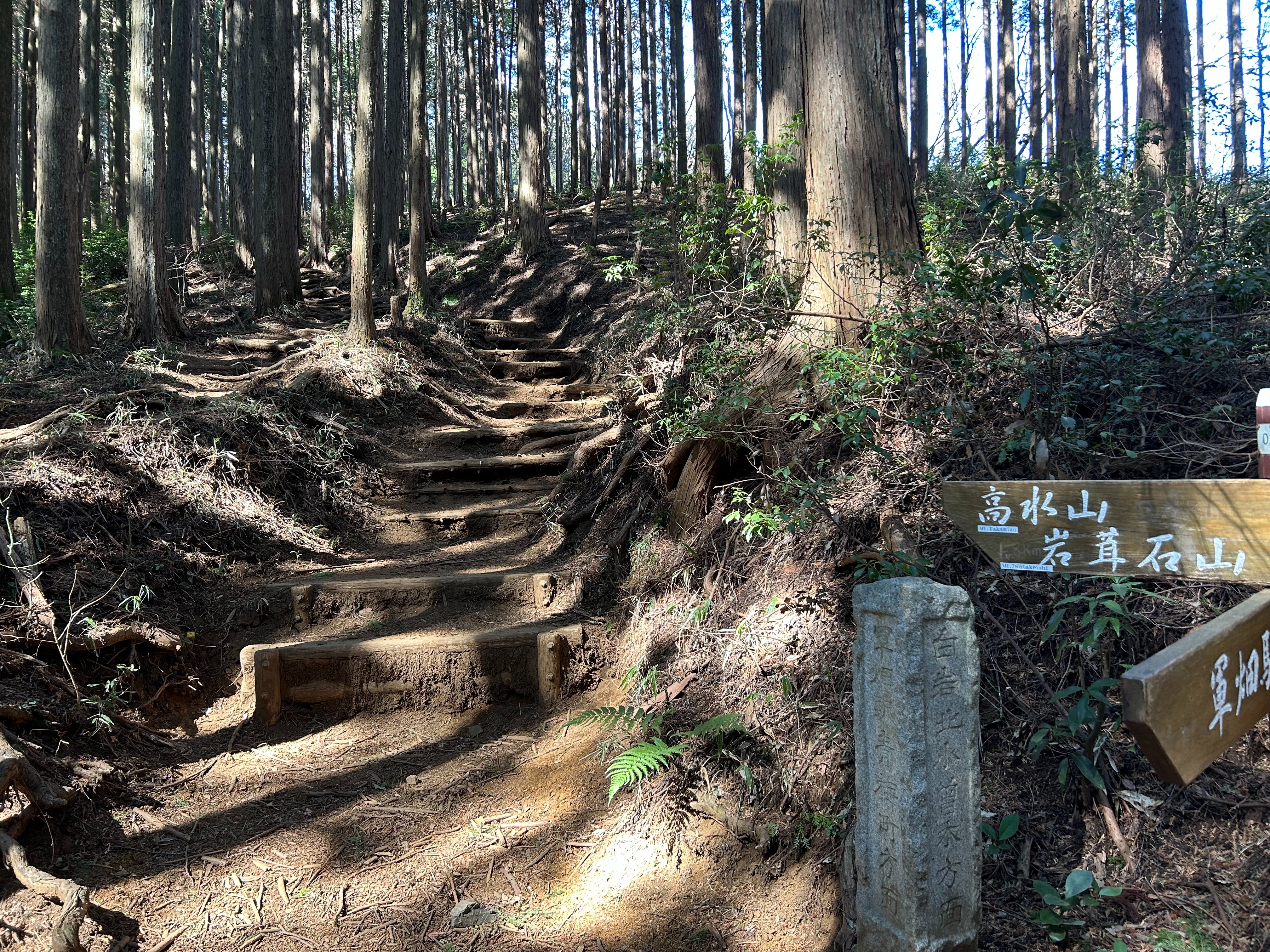 f:id:yoyorinrinyuyu:20250302112619j:image