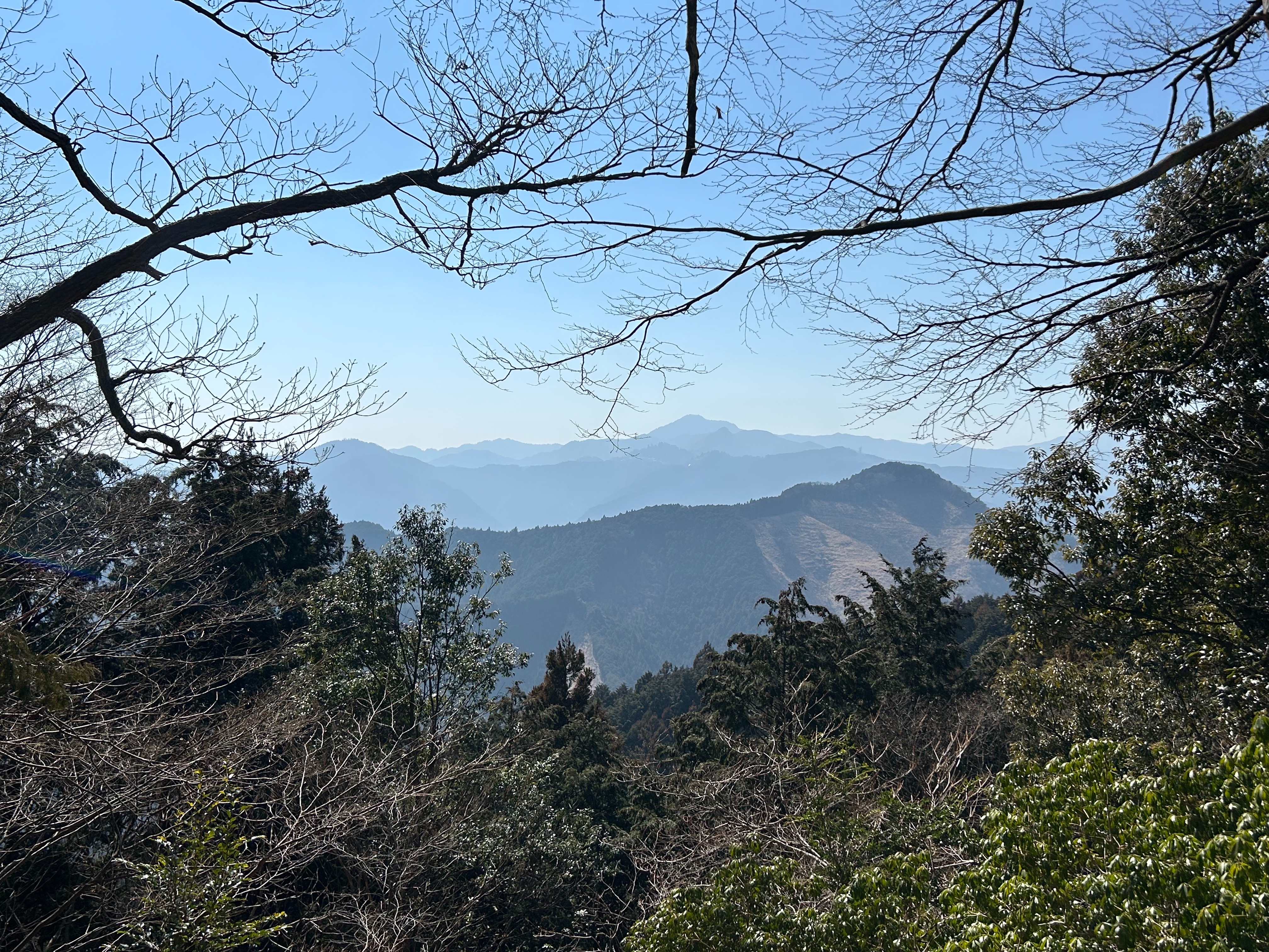 f:id:yoyorinrinyuyu:20250302112647j:image