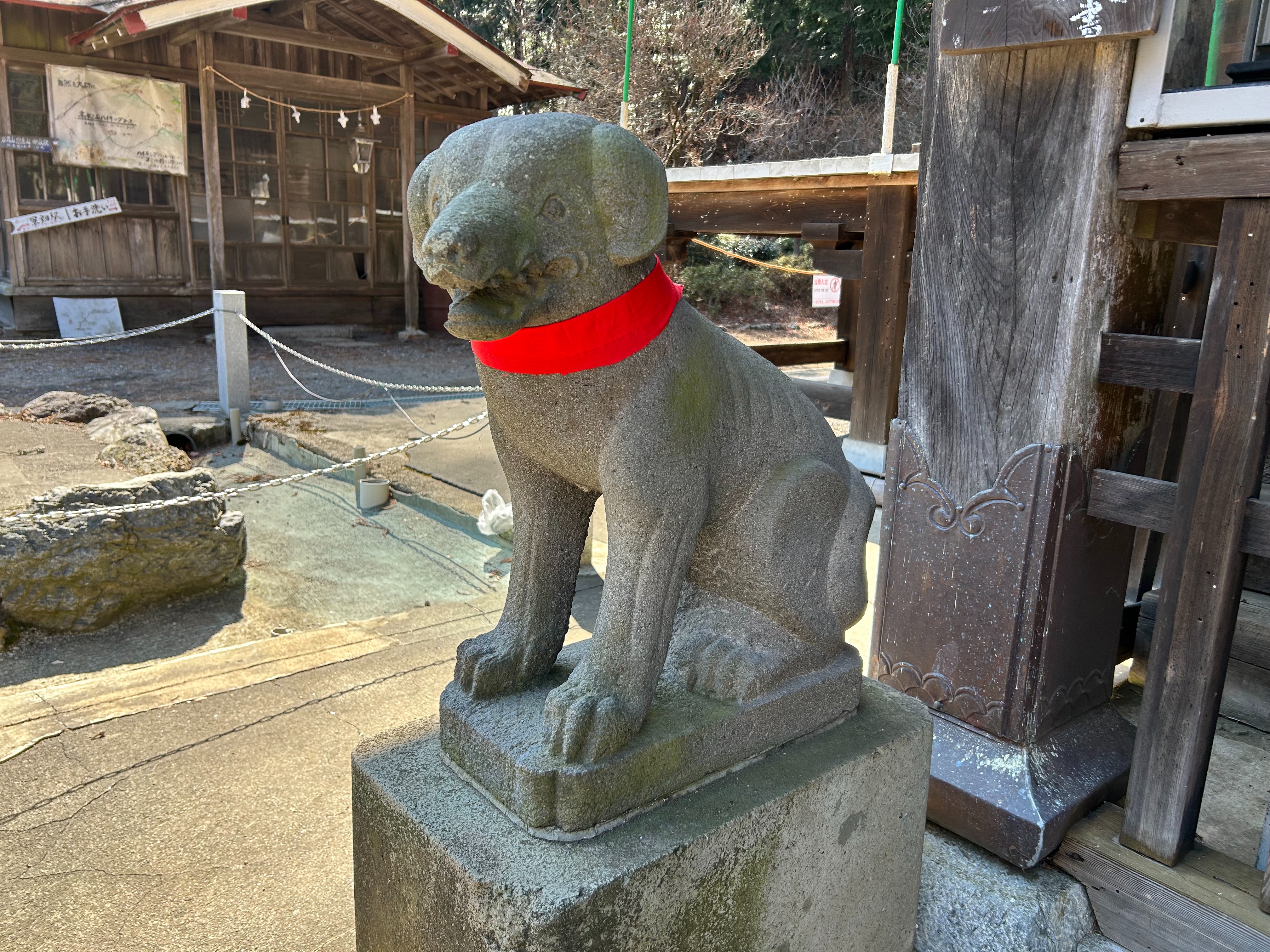 f:id:yoyorinrinyuyu:20250302112655j:image