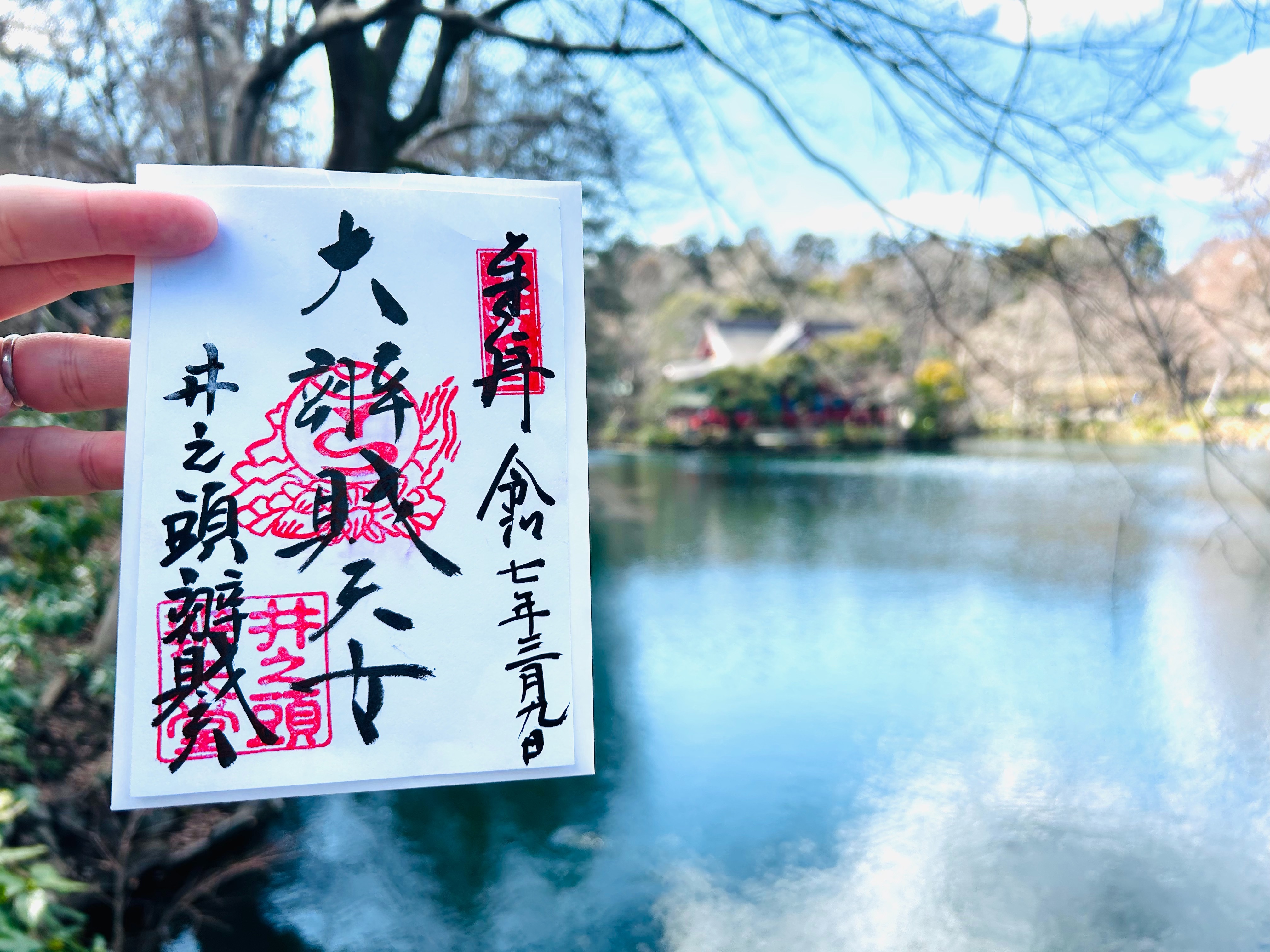 f:id:yoyorinrinyuyu:20250309191817j:image