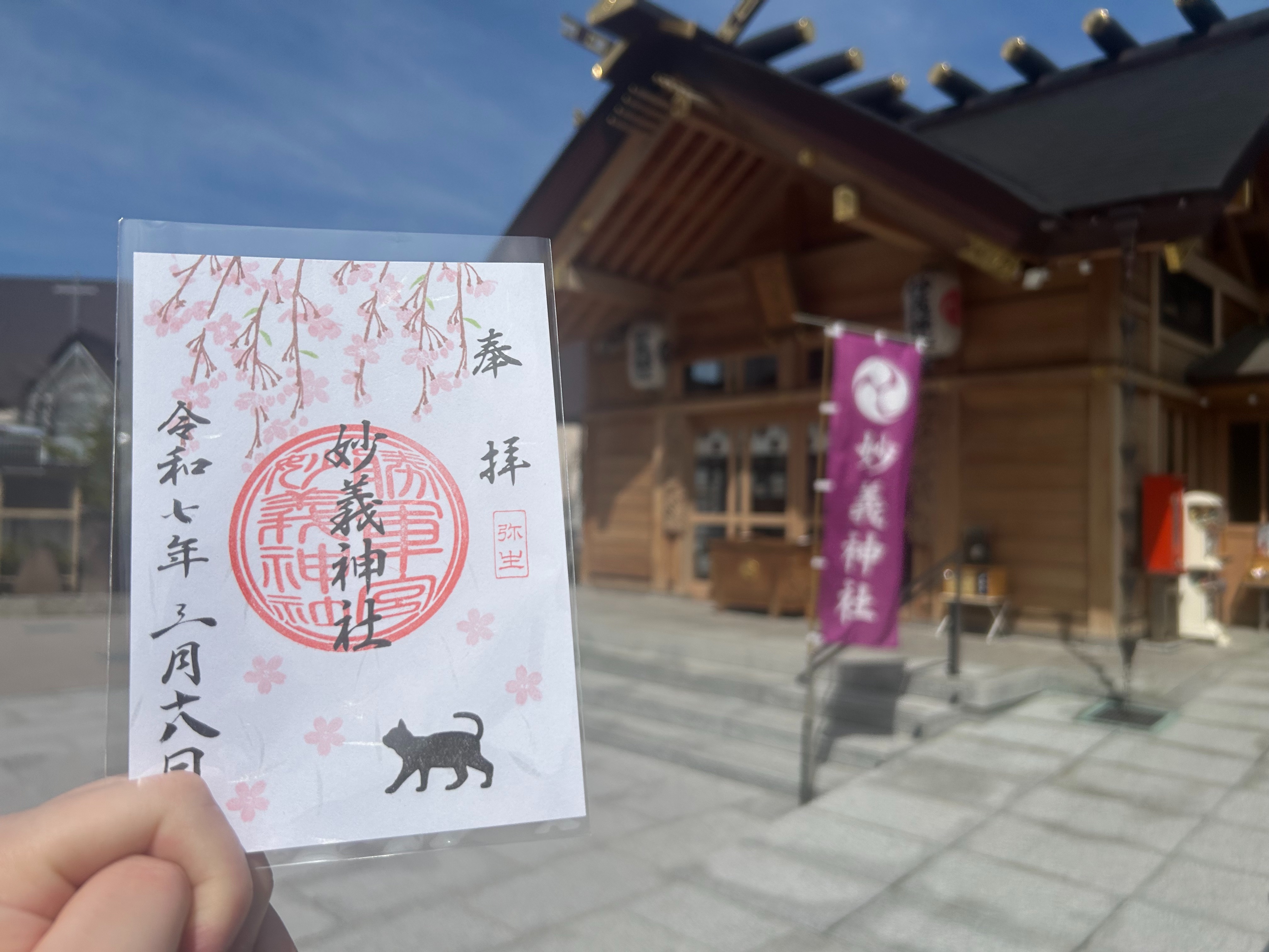 f:id:yoyorinrinyuyu:20250320115412j:image