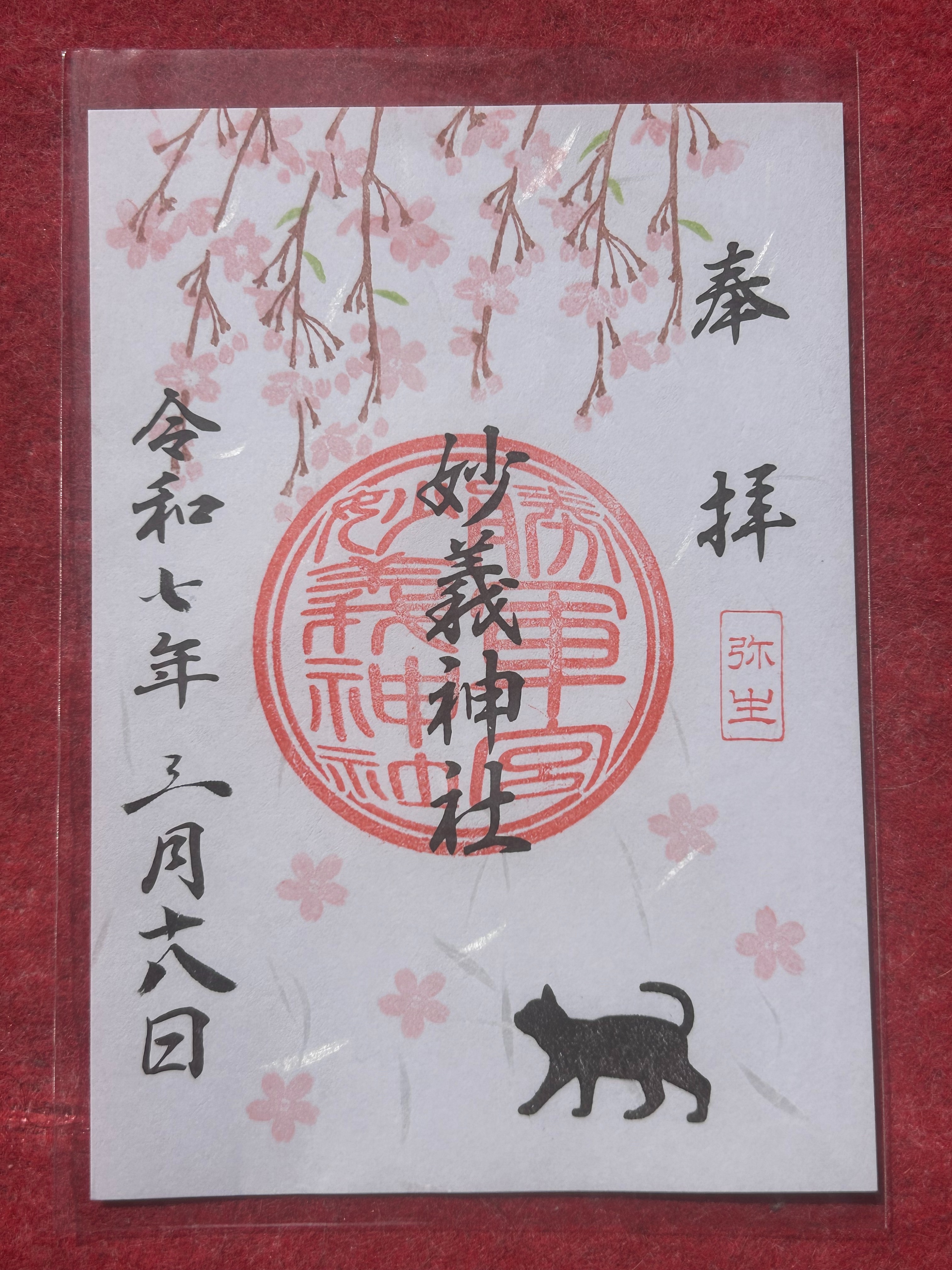 f:id:yoyorinrinyuyu:20250320115430j:image