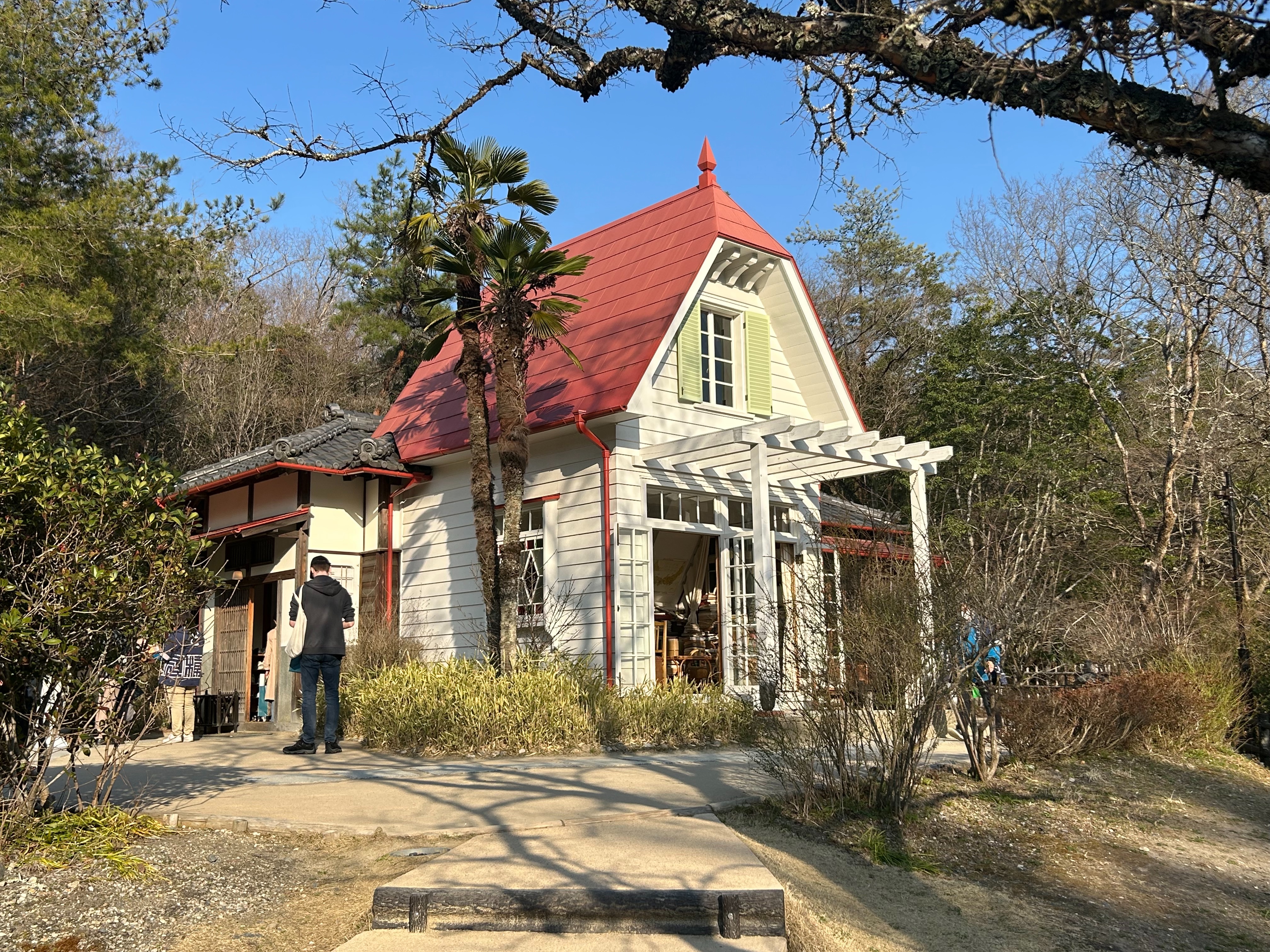 f:id:yoyorinrinyuyu:20250324231736j:image