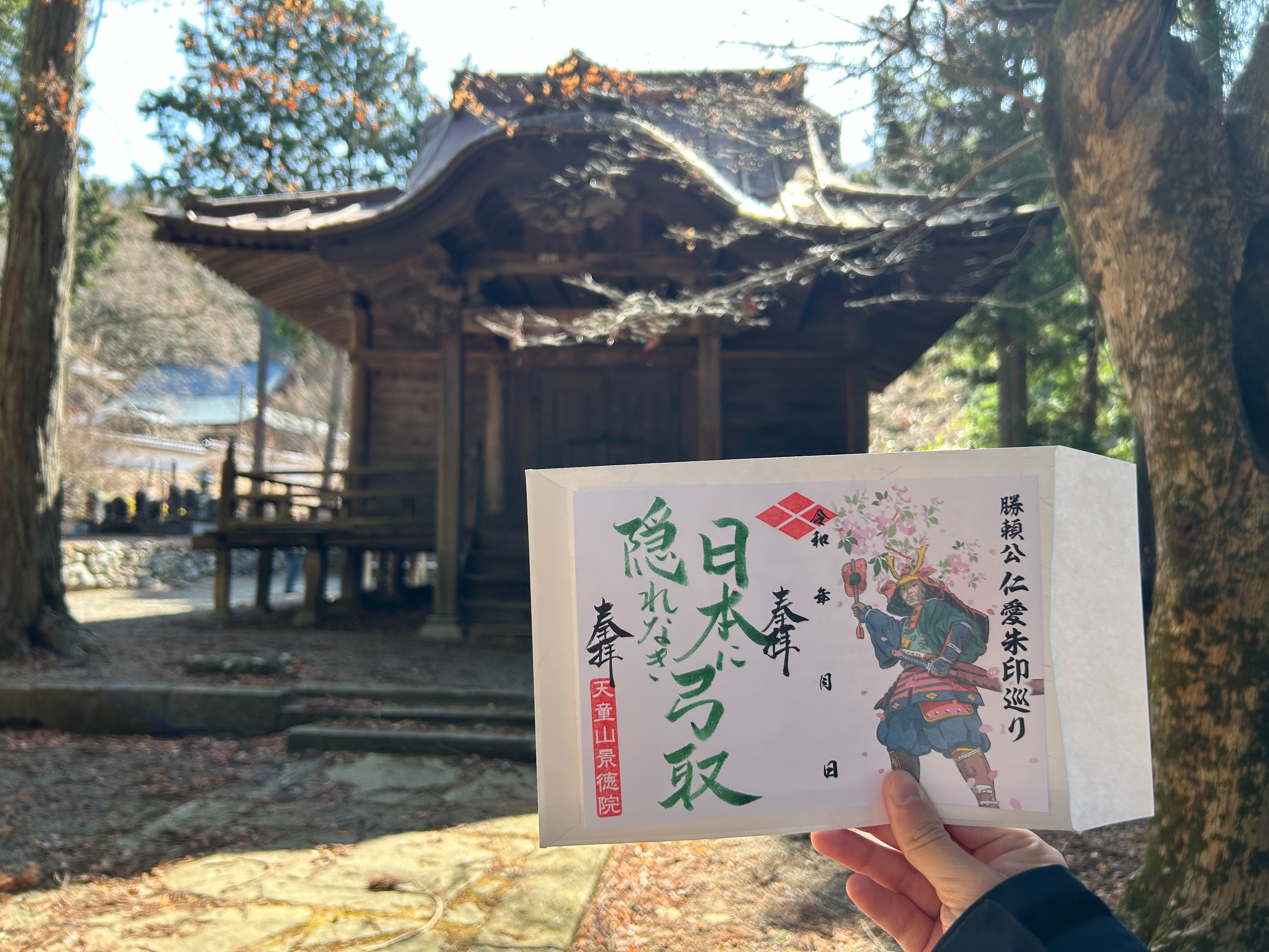 f:id:yoyorinrinyuyu:20250406100005j:image