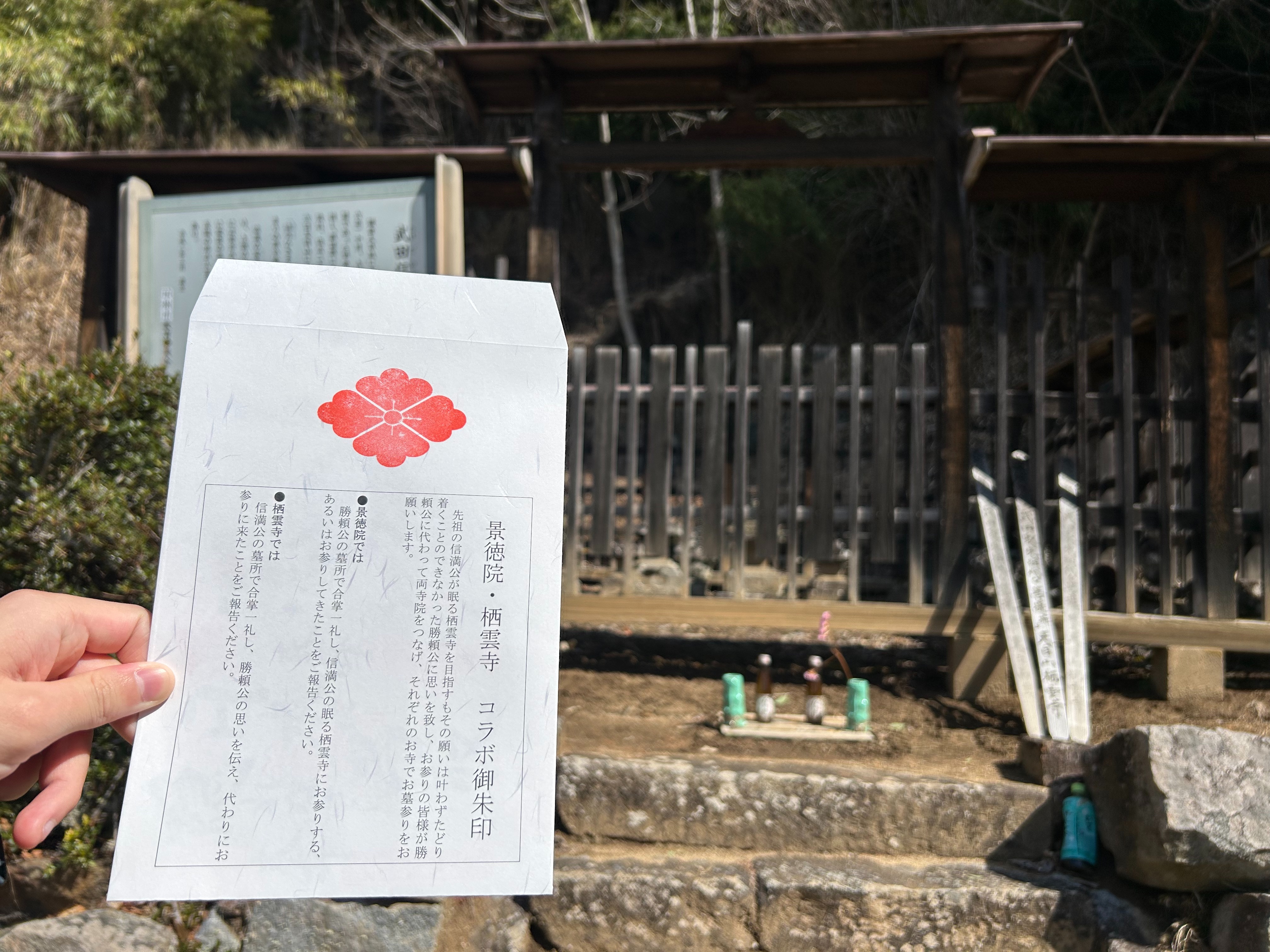 f:id:yoyorinrinyuyu:20250406100032j:image