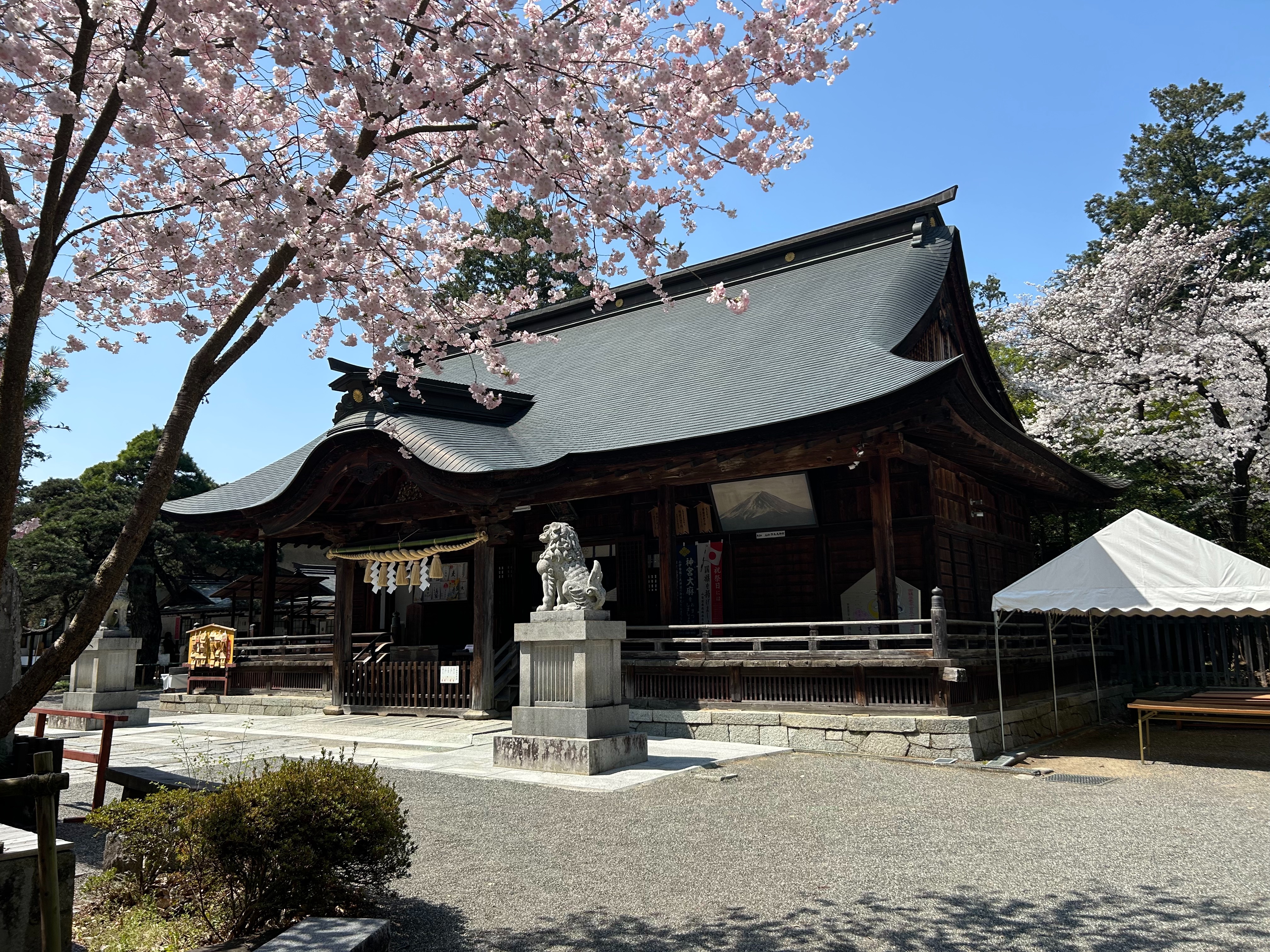 f:id:yoyorinrinyuyu:20250406100259j:image