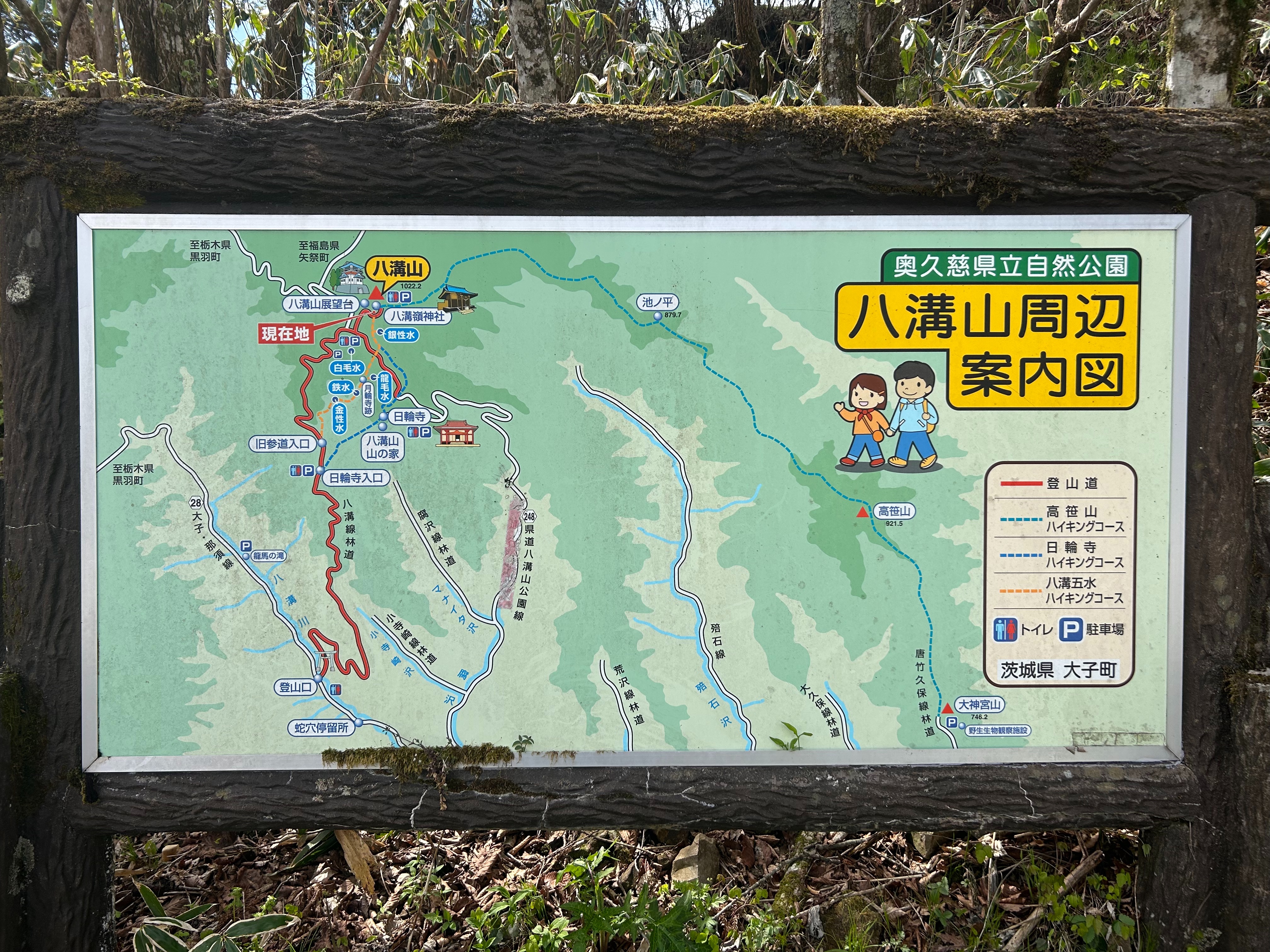 f:id:yoyorinrinyuyu:20250504114906j:image