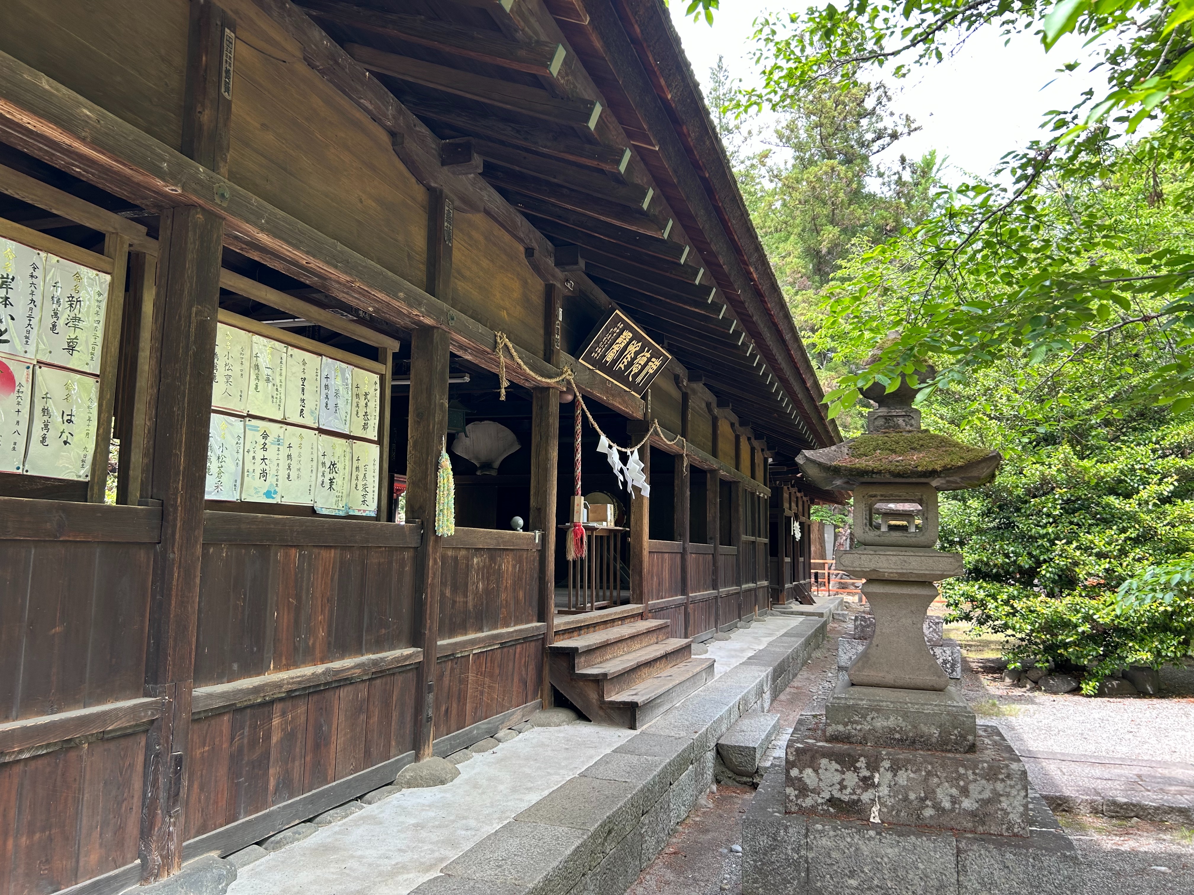 f:id:yoyorinrinyuyu:20250512093051j:image
