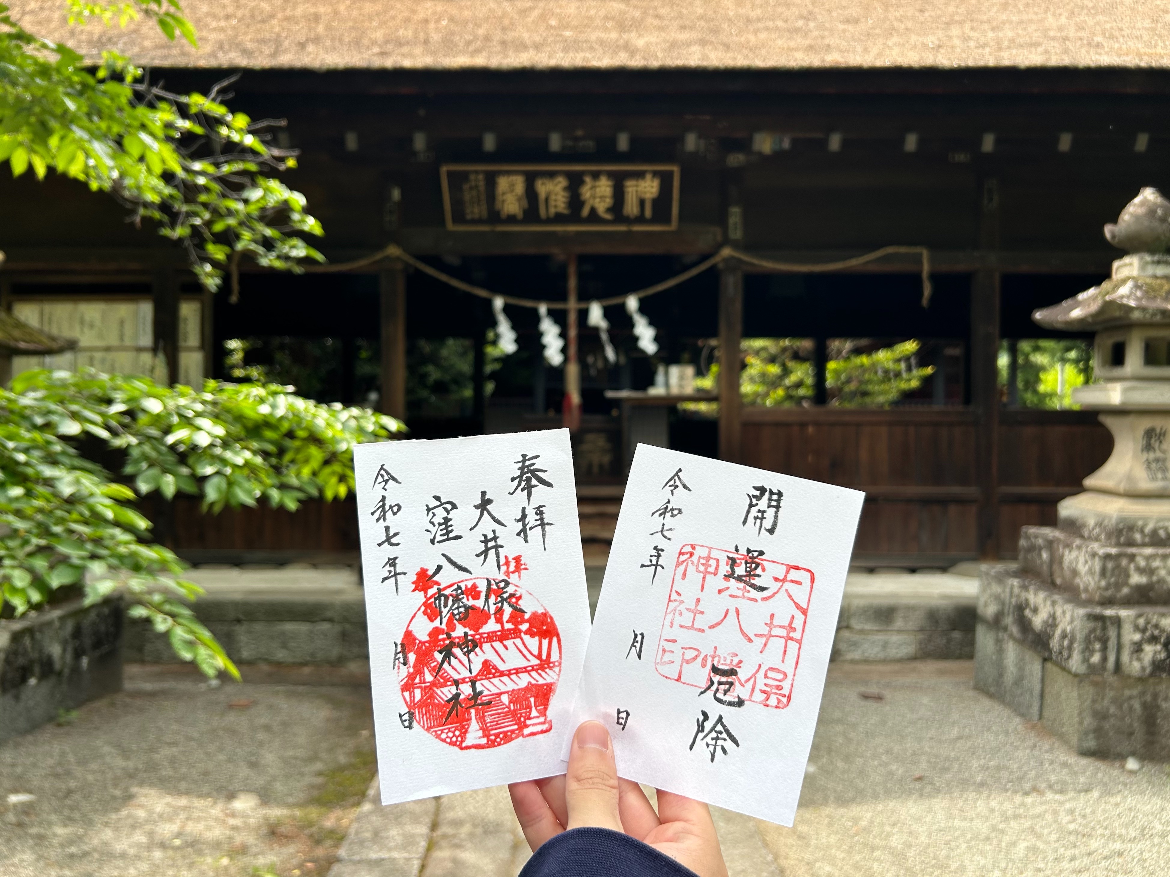 f:id:yoyorinrinyuyu:20250512093157j:image