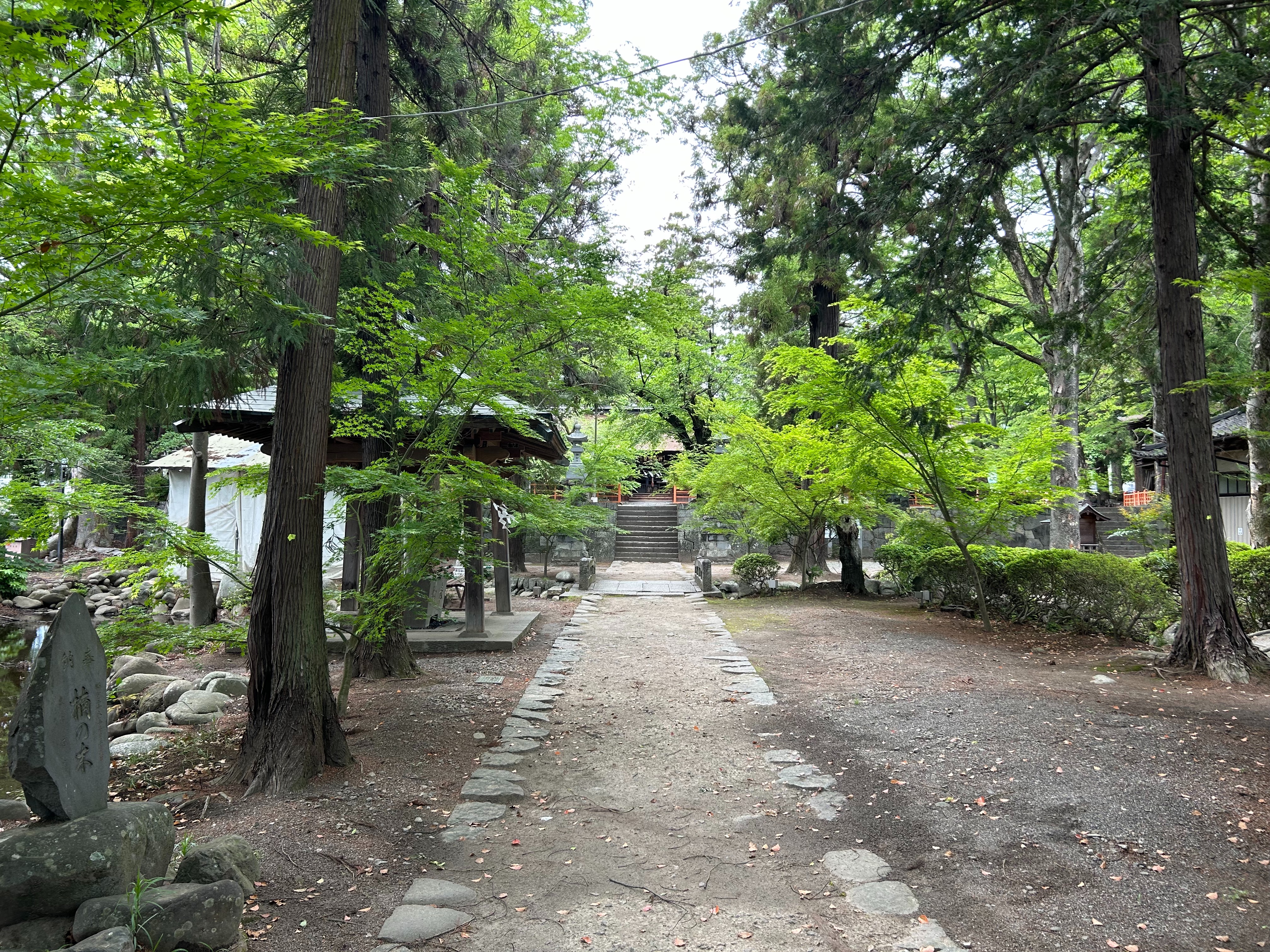 f:id:yoyorinrinyuyu:20250512093213j:image