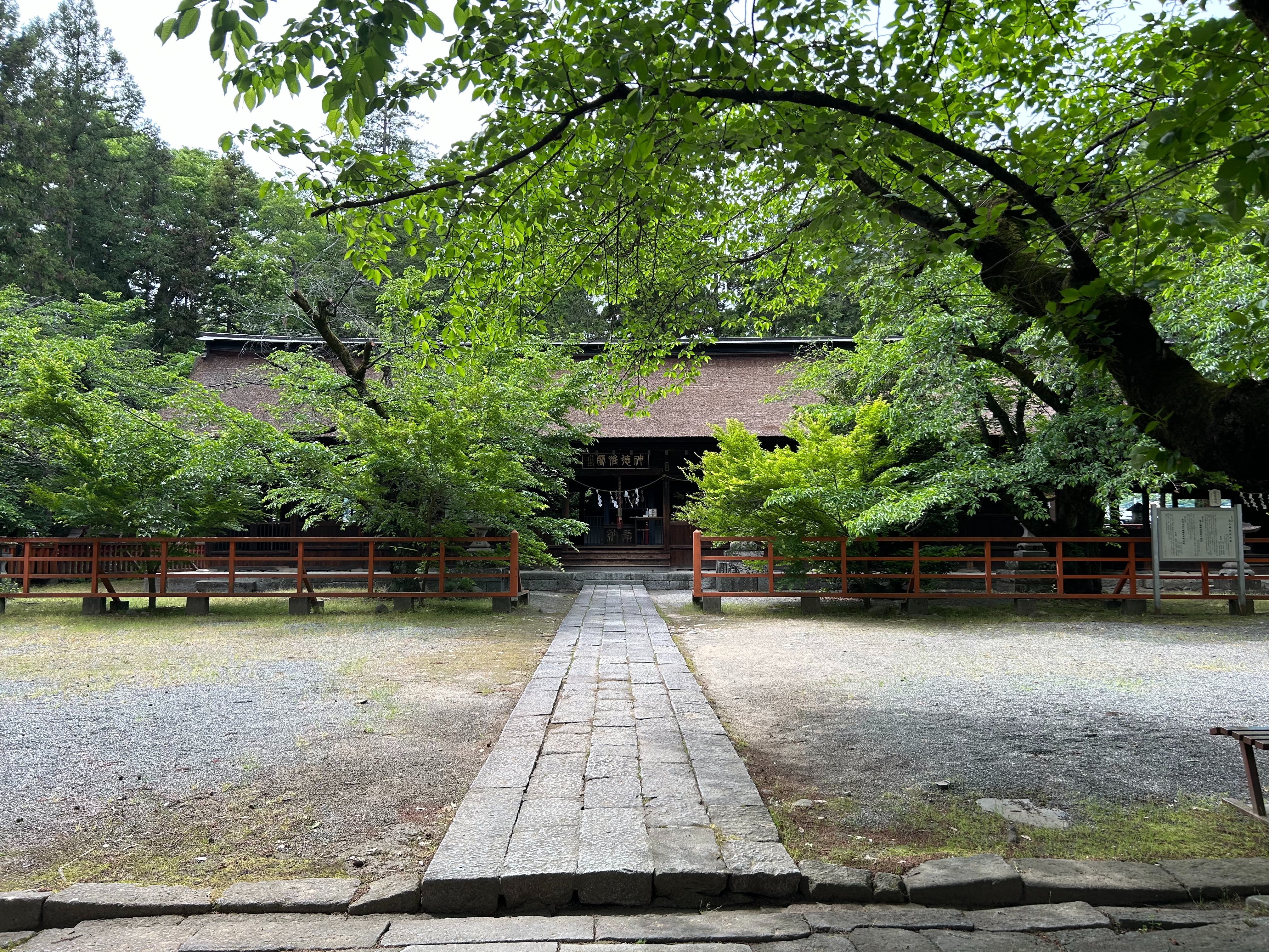 f:id:yoyorinrinyuyu:20250512093243j:image