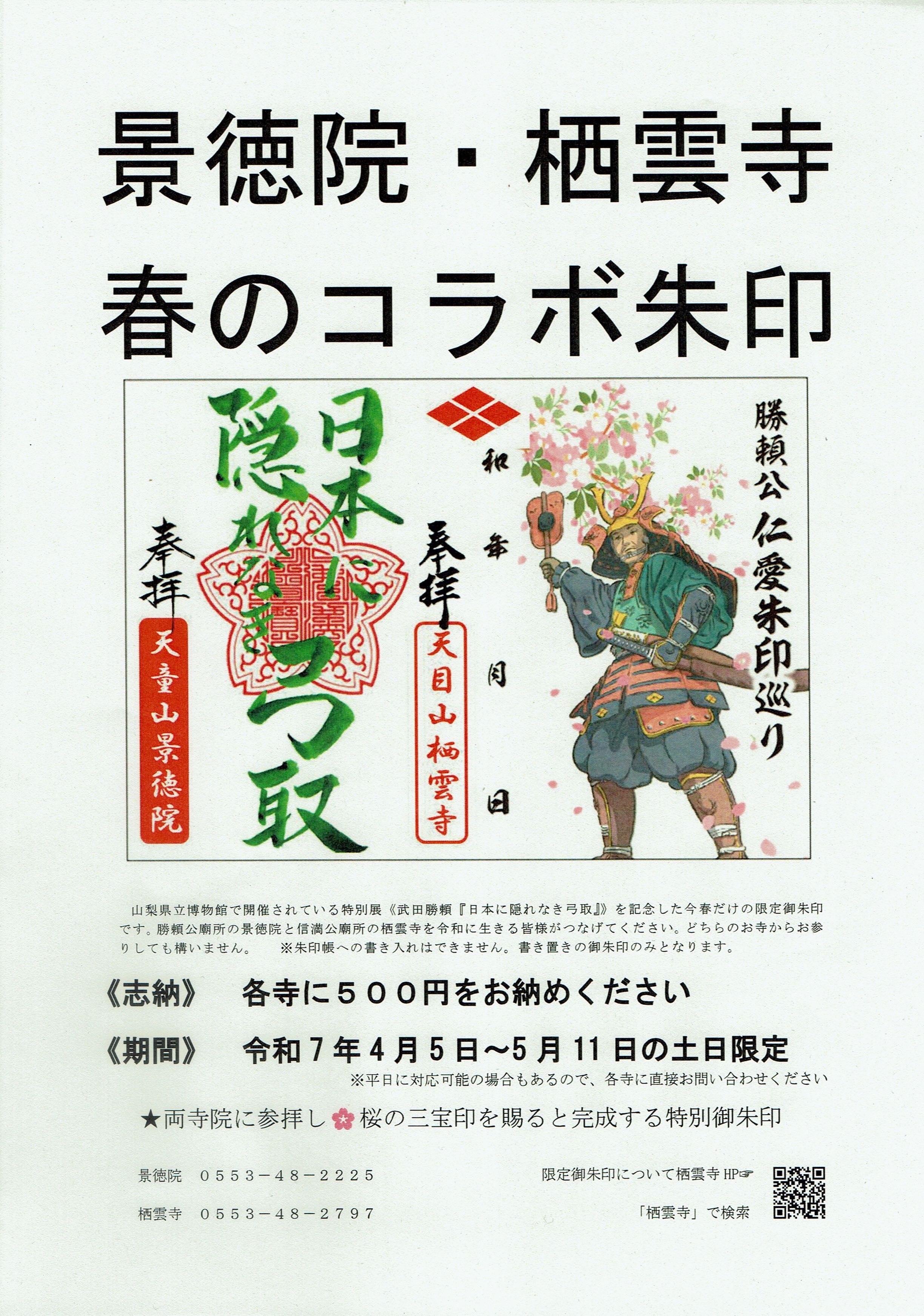 f:id:yoyorinrinyuyu:20250514234401j:image