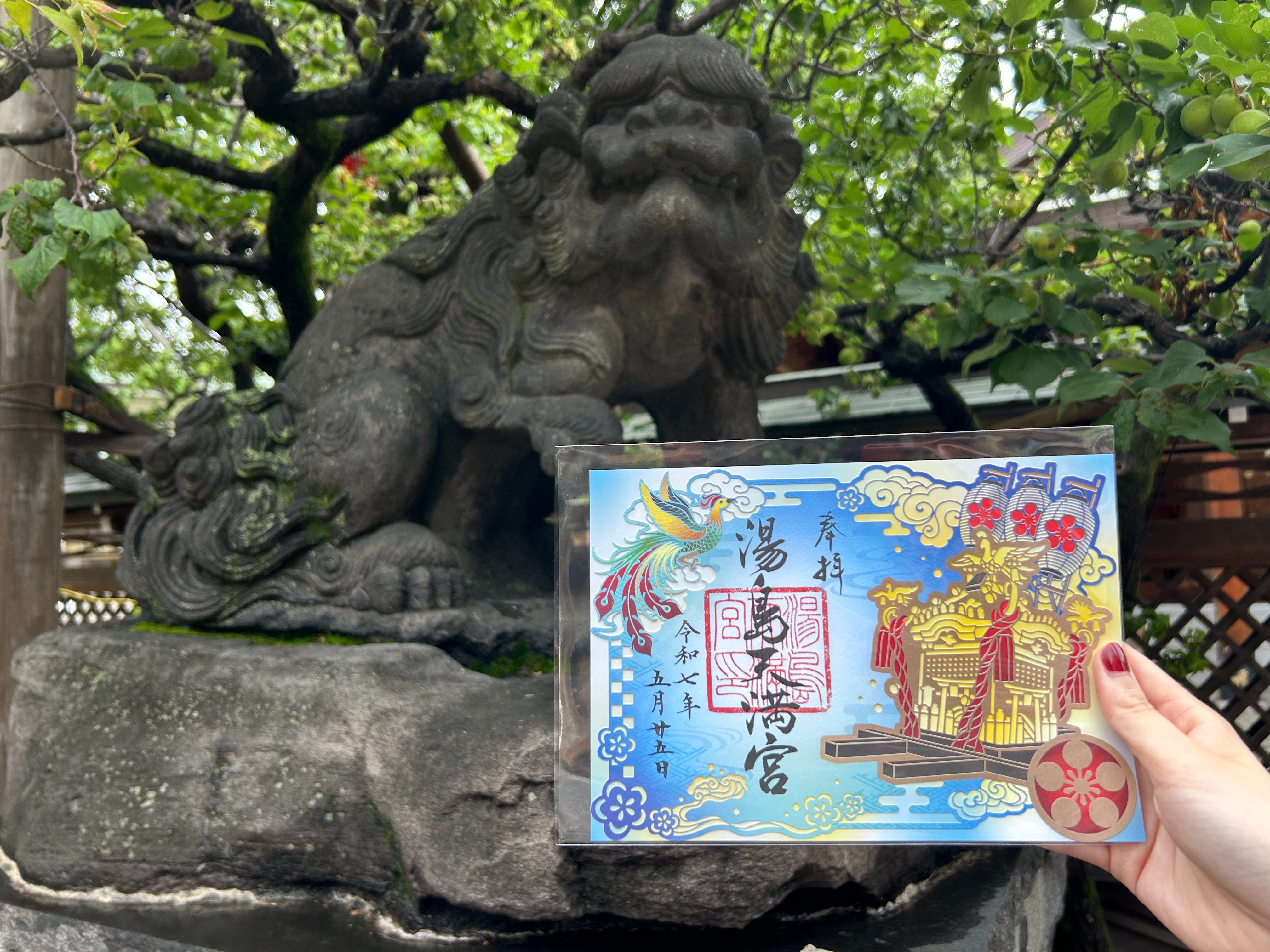 f:id:yoyorinrinyuyu:20250525213039j:image